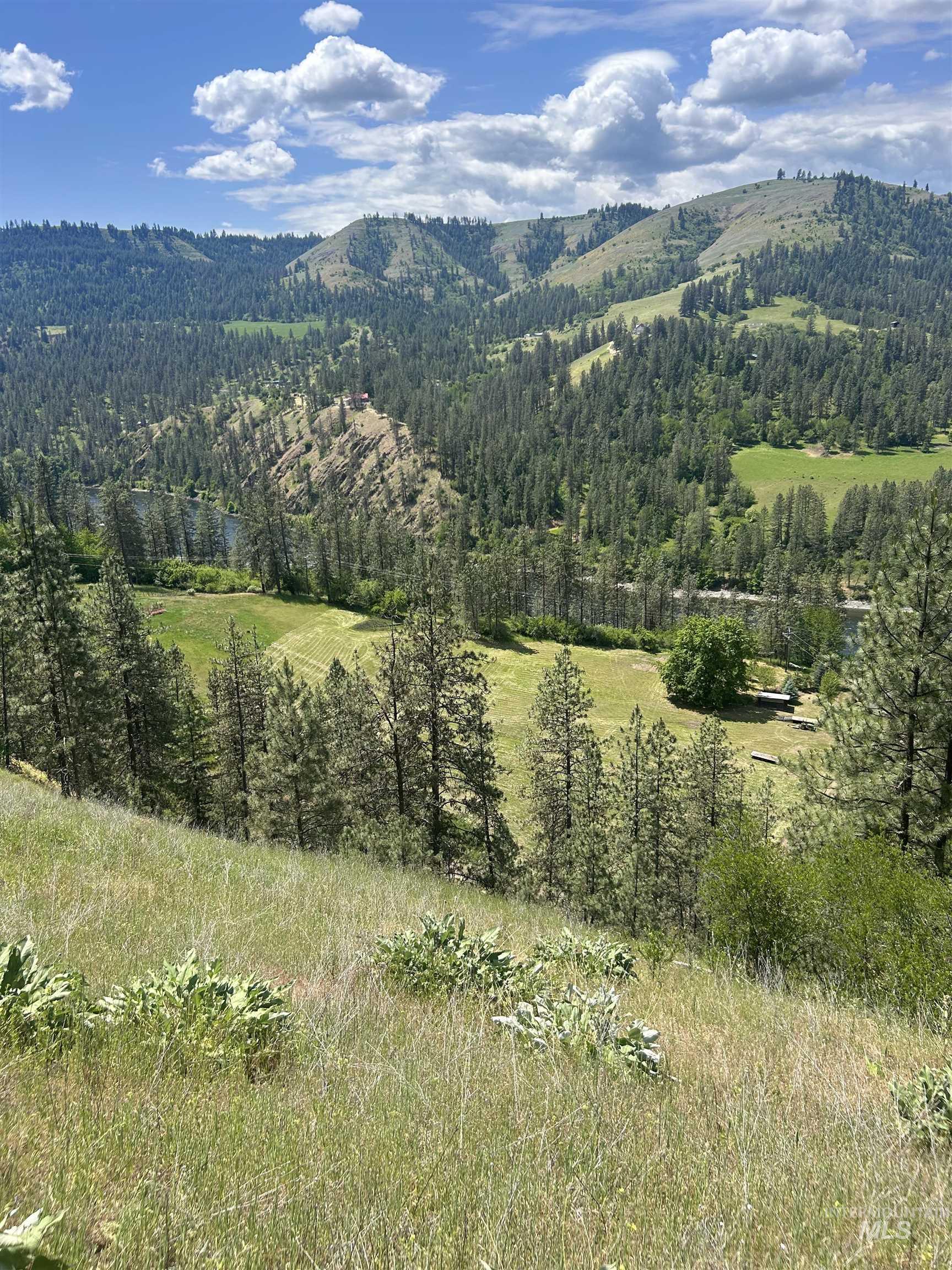 Tbd Hwy 12 Lot 3 Property Photo 22