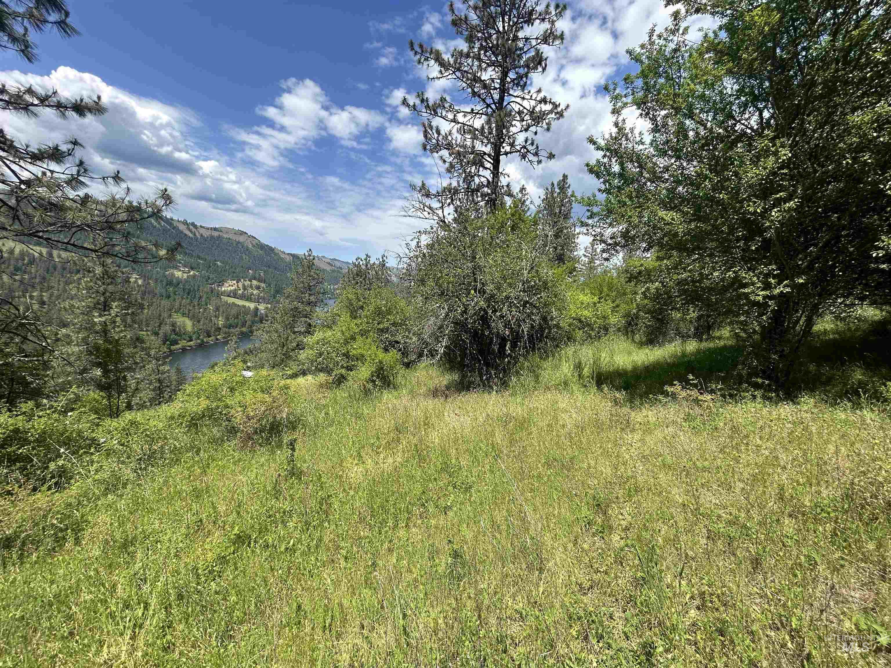 Tbd Hwy 12 Lot 3 Property Photo 26