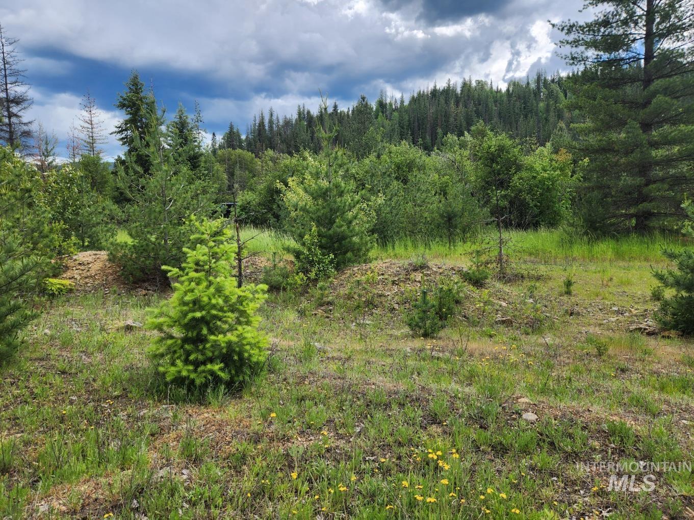 53917 Silver Valley Rd. Property Photo 1