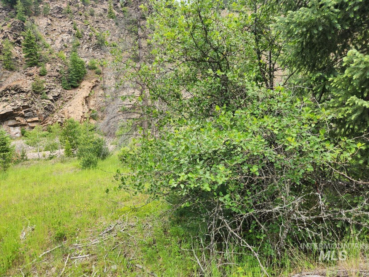 53917 Silver Valley Rd. Property Photo 3