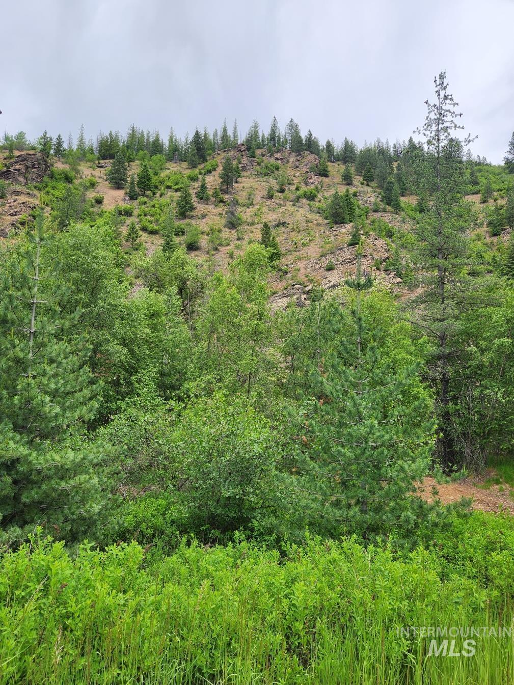 53917 Silver Valley Rd. Property Photo 6