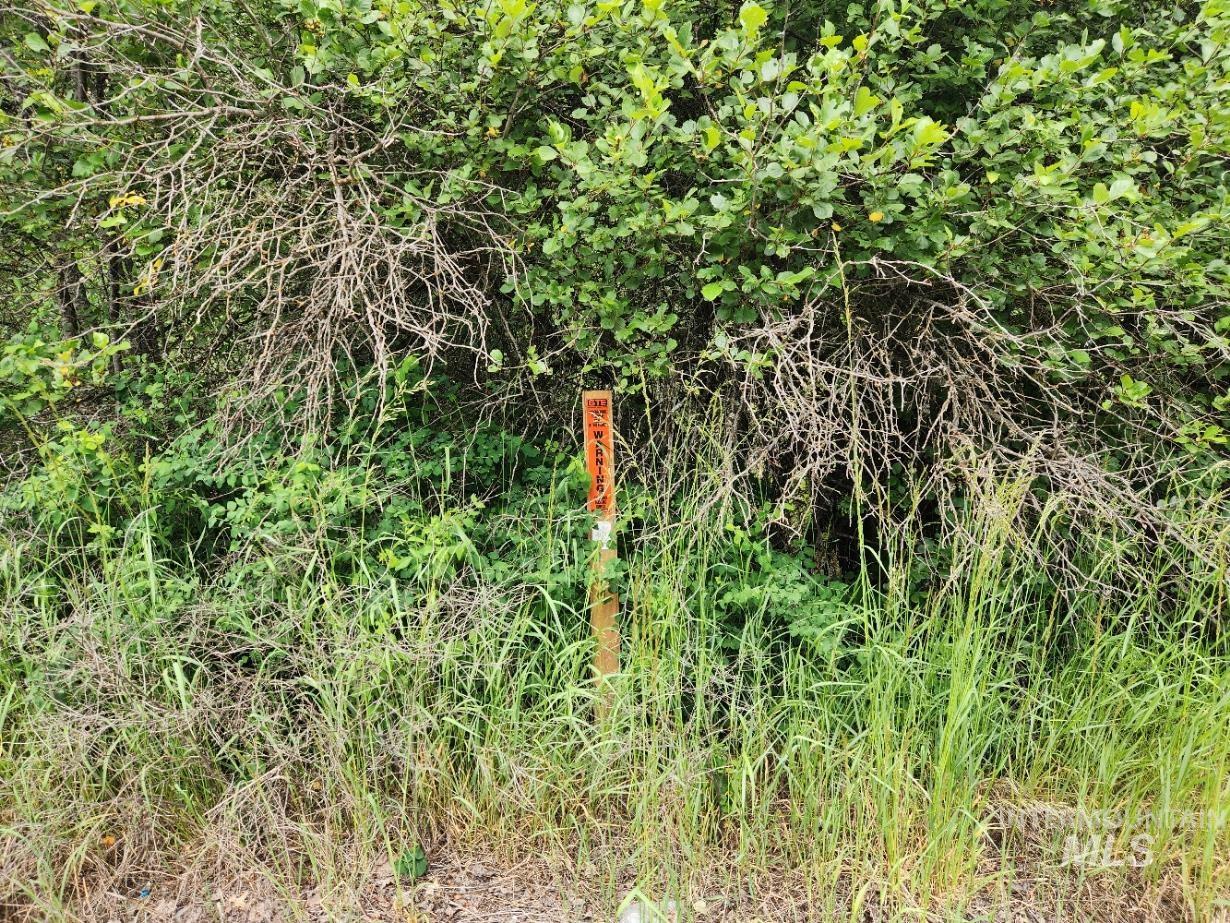 53917 Silver Valley Rd. Property Photo 10