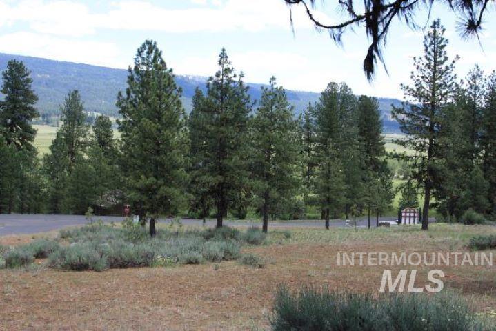 Lot 8 Camas Dr. Property Photo 3
