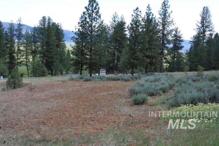 Lot 8 Camas Dr. Property Photo 4