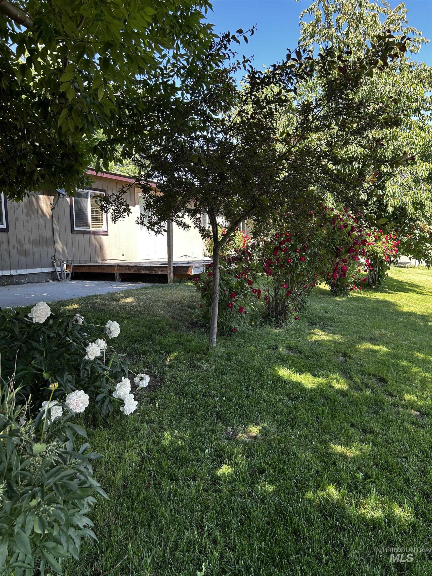53 Johnnie Lane Property Photo 38
