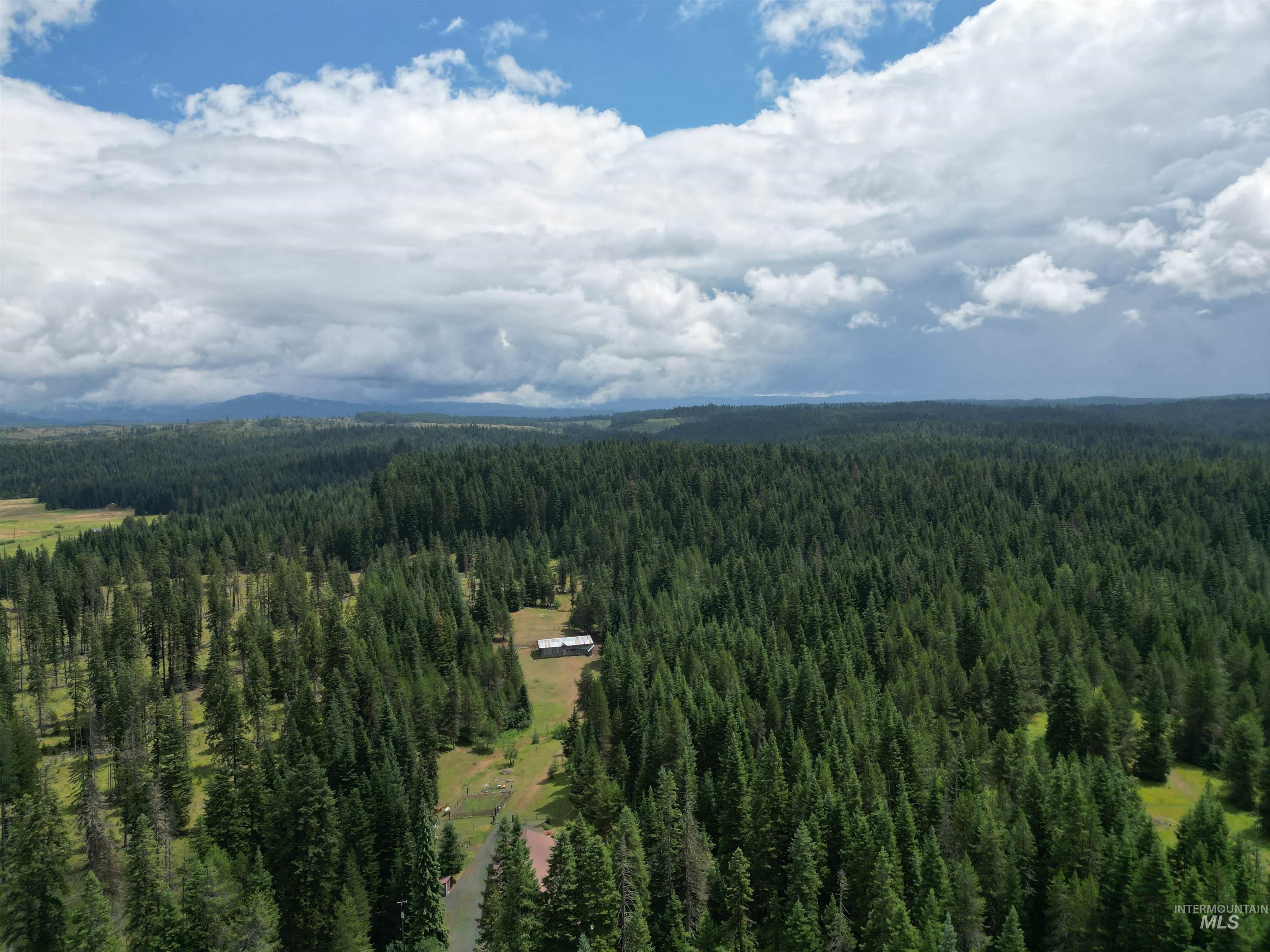 22848 Hwy 11 Property Photo 34