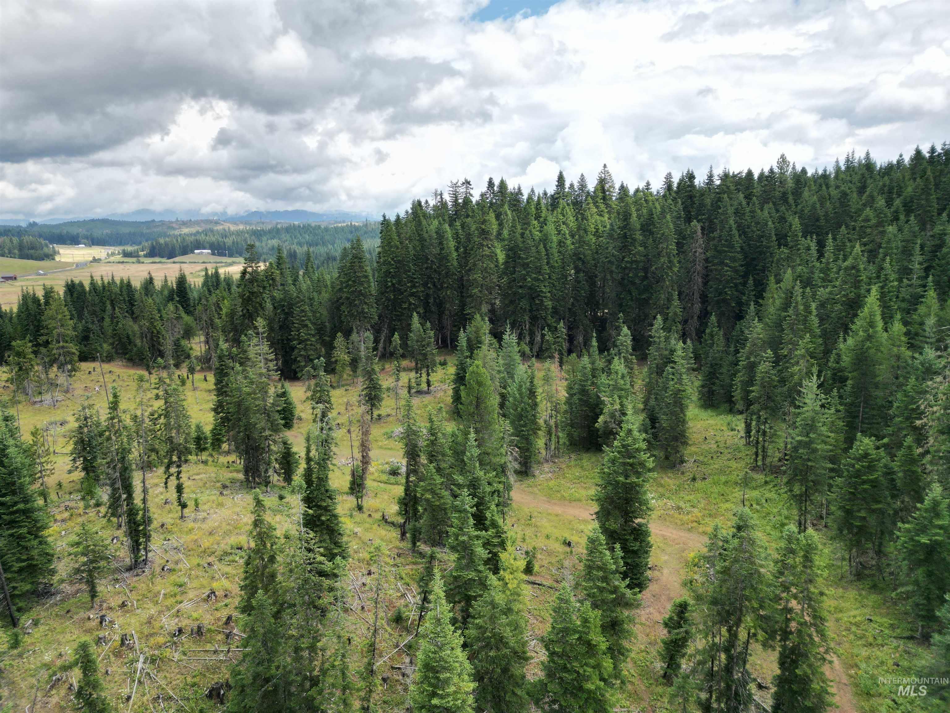 22848 Hwy 11 Property Photo 42