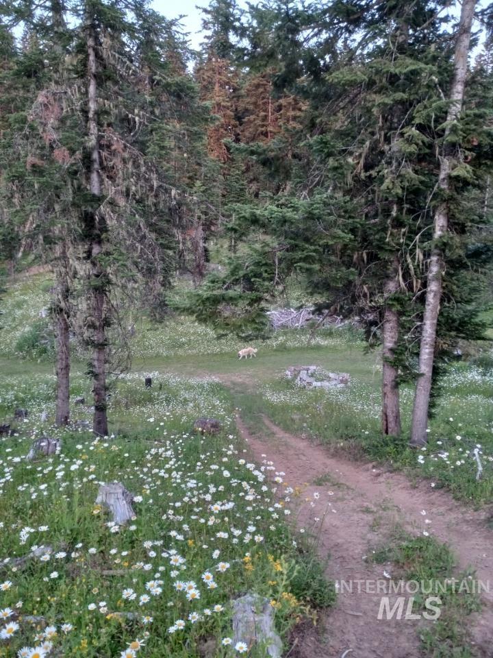 22848 Hwy 11 Property Photo 49