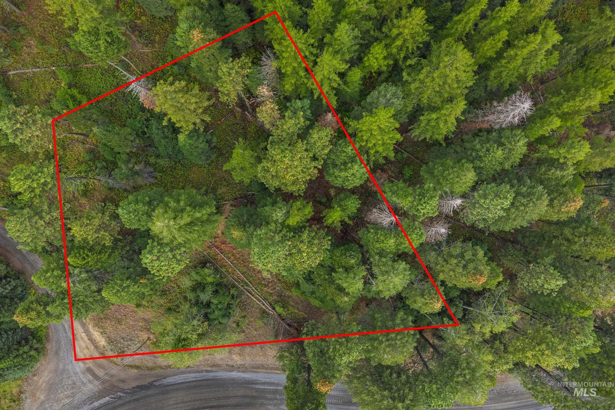 1705 W Mountain Rd Property Photo 3