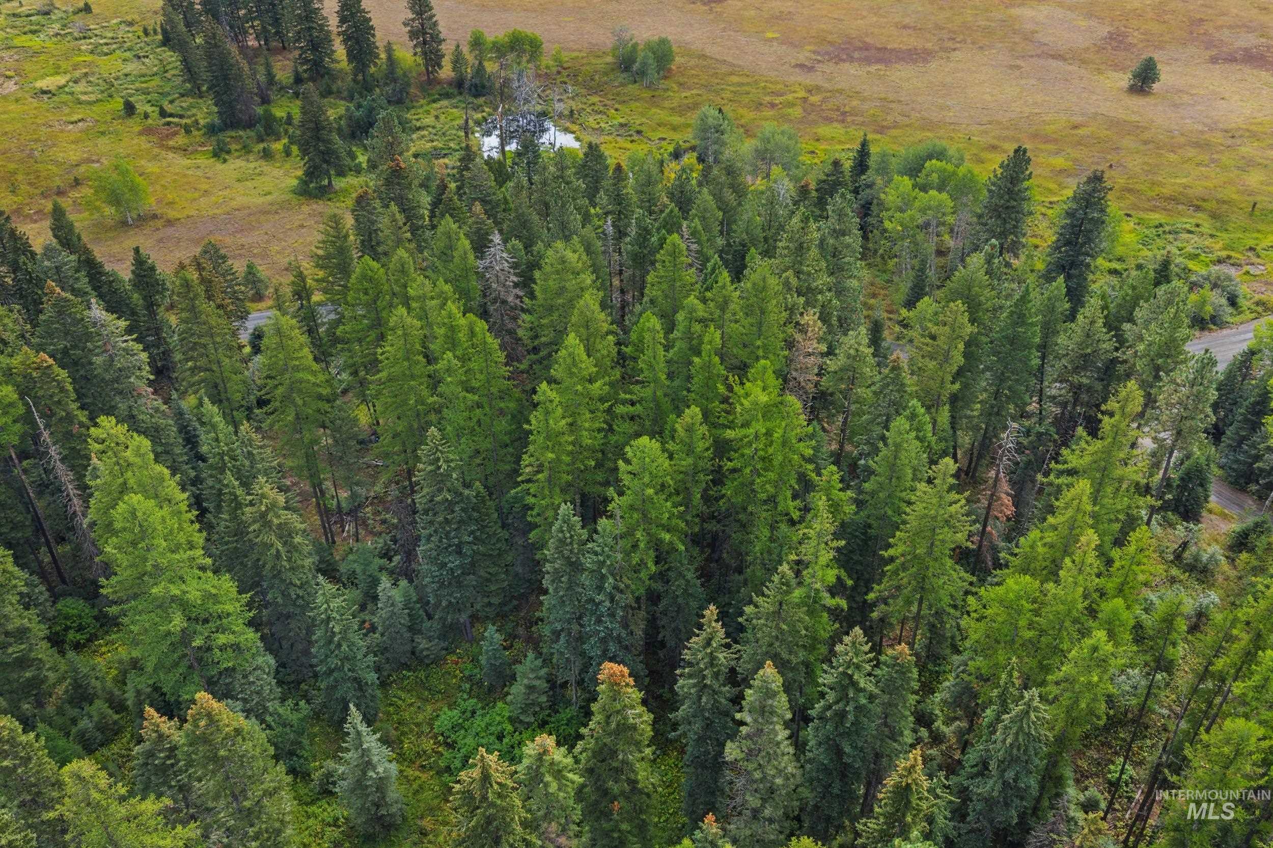 1705 W Mountain Rd Property Photo 6