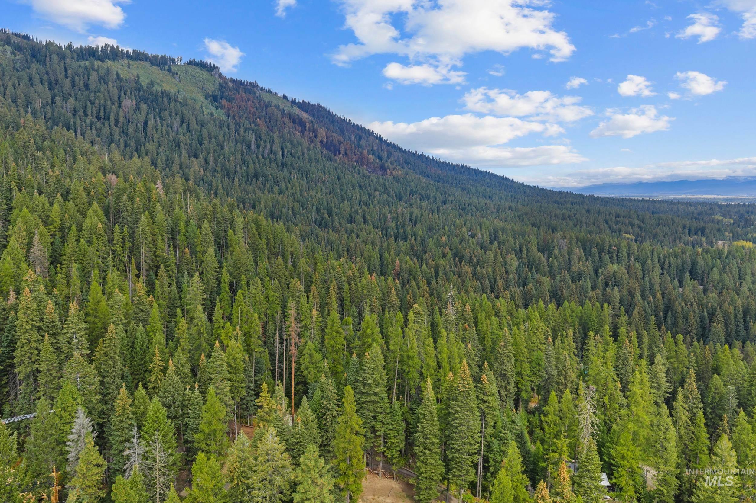 1705 W Mountain Rd Property Photo 9