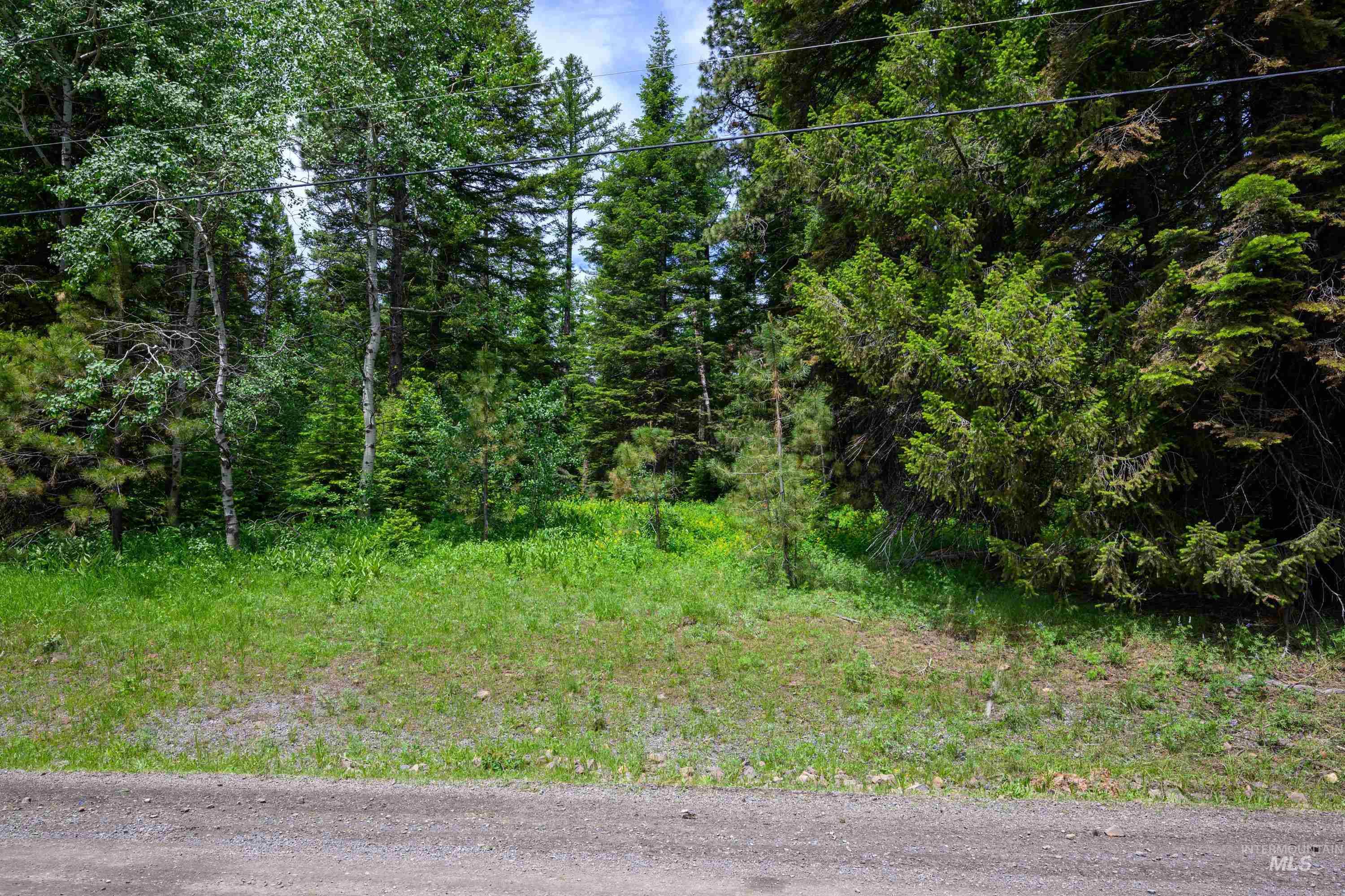 1705 W Mountain Rd Property Photo 10