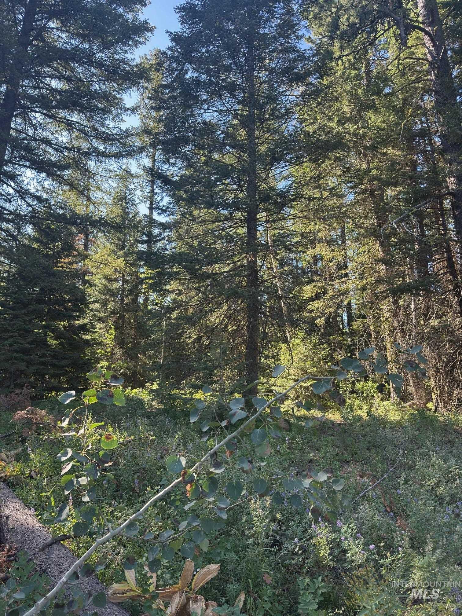 1705 W Mountain Rd Property Photo 11