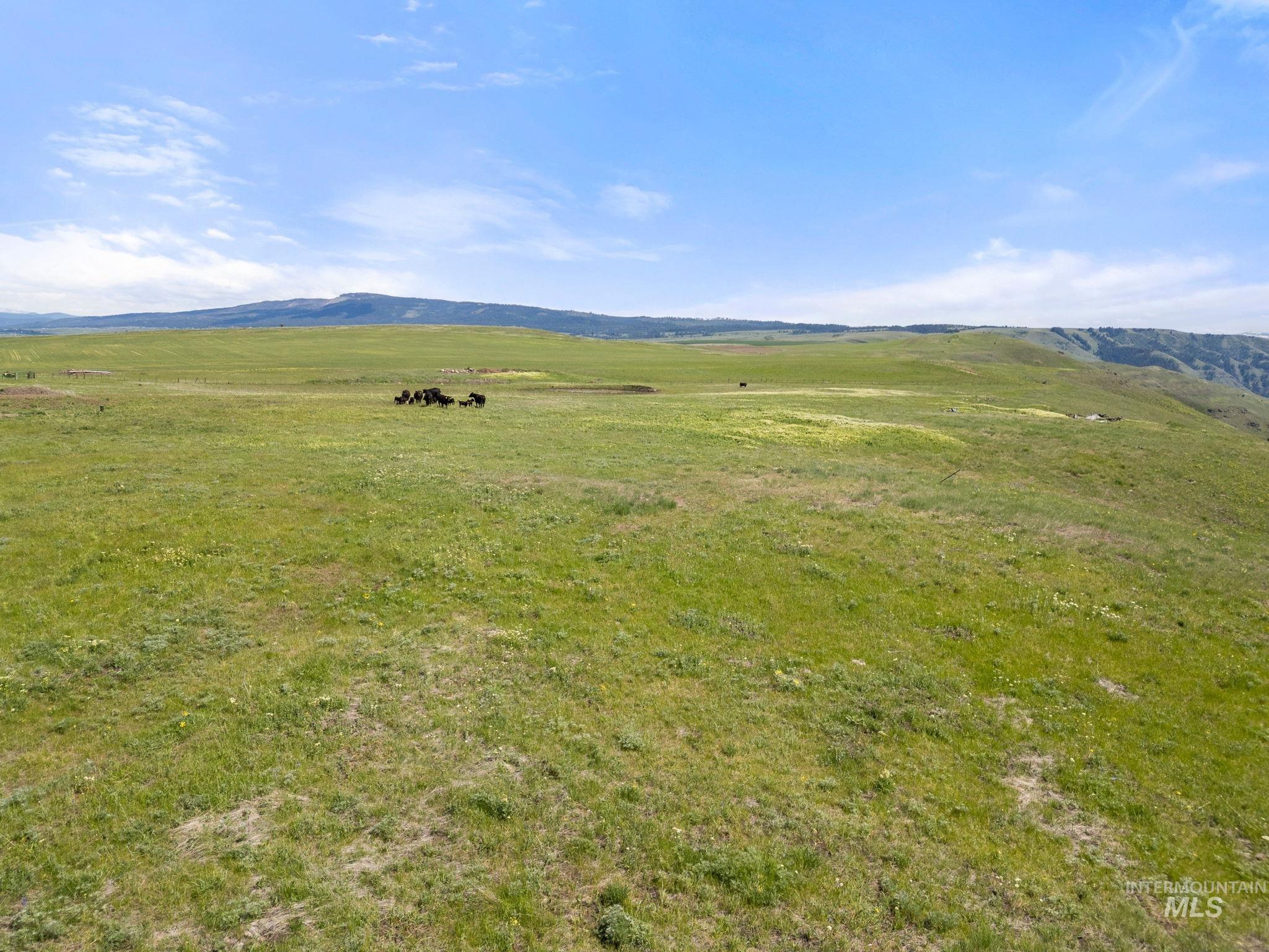 Tbd Gill Point Lot 8 Property Photo 2