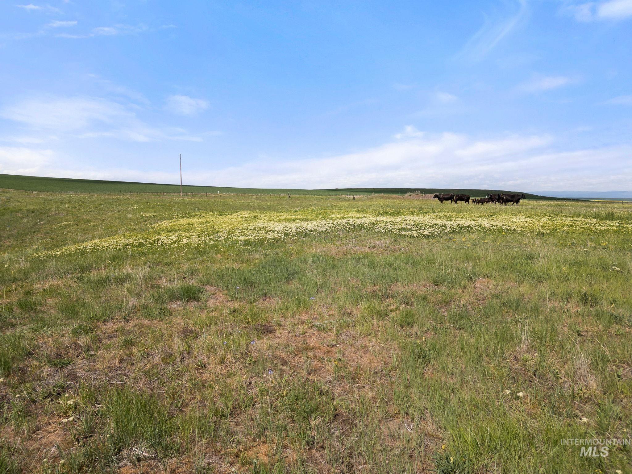 Tbd Gill Point Lot 8 Property Photo 13