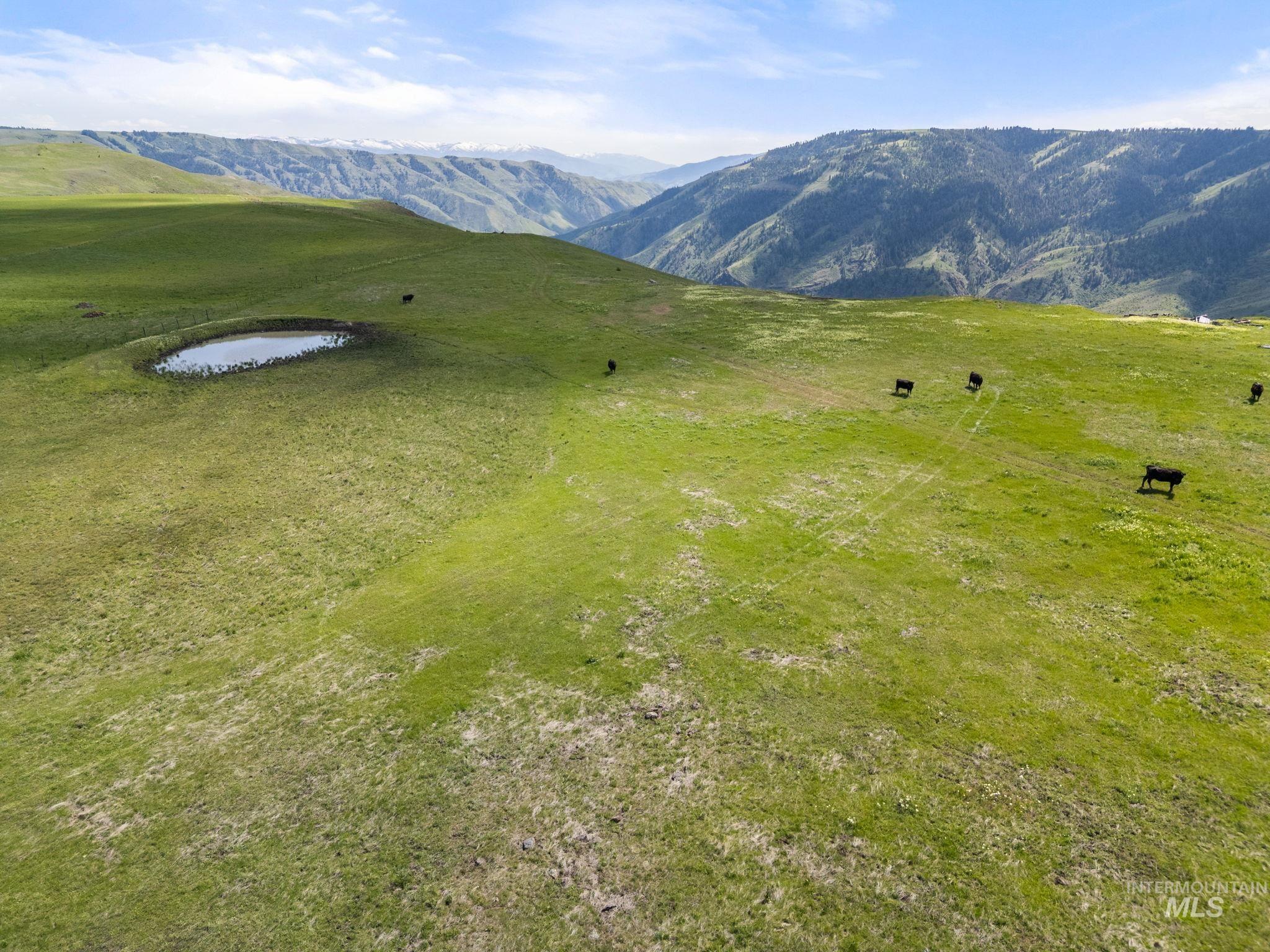 Tbd Gill Point Lot 8 Property Photo 22