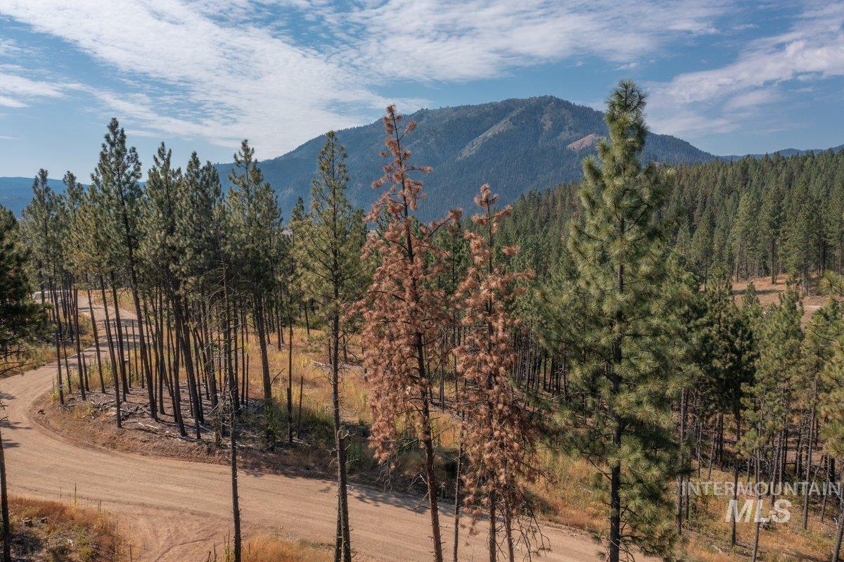 Tbd Lot 7 Pine Grove Property Photo 1
