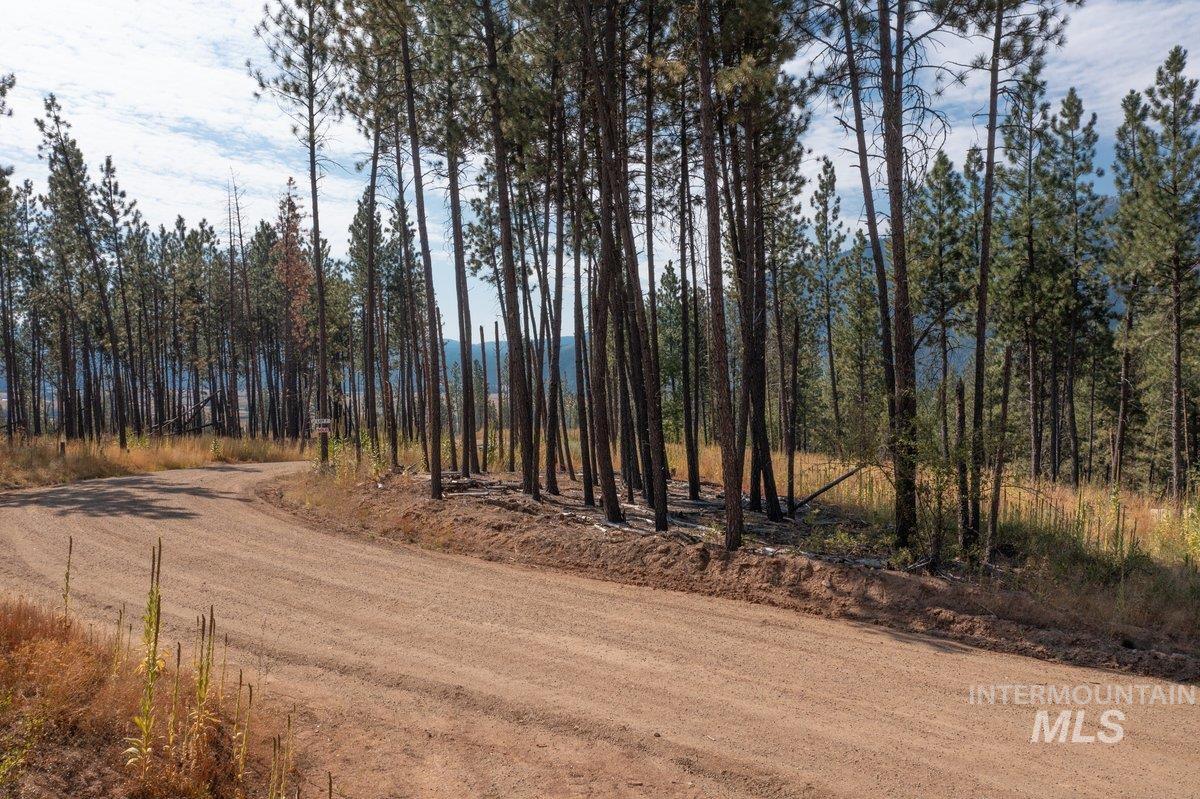 Tbd Lot 7 Pine Grove Property Photo 5