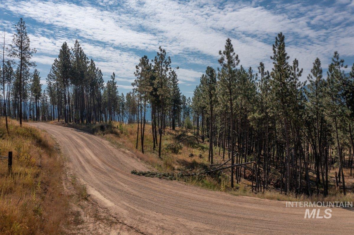 Tbd Lot 7 Pine Grove Property Photo 6