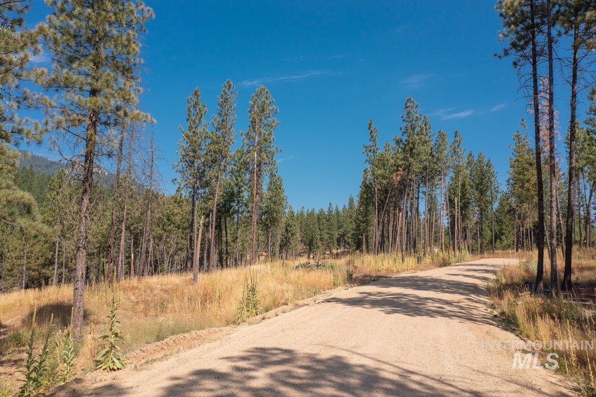 Tbd Lot 7 Pine Grove Property Photo 10