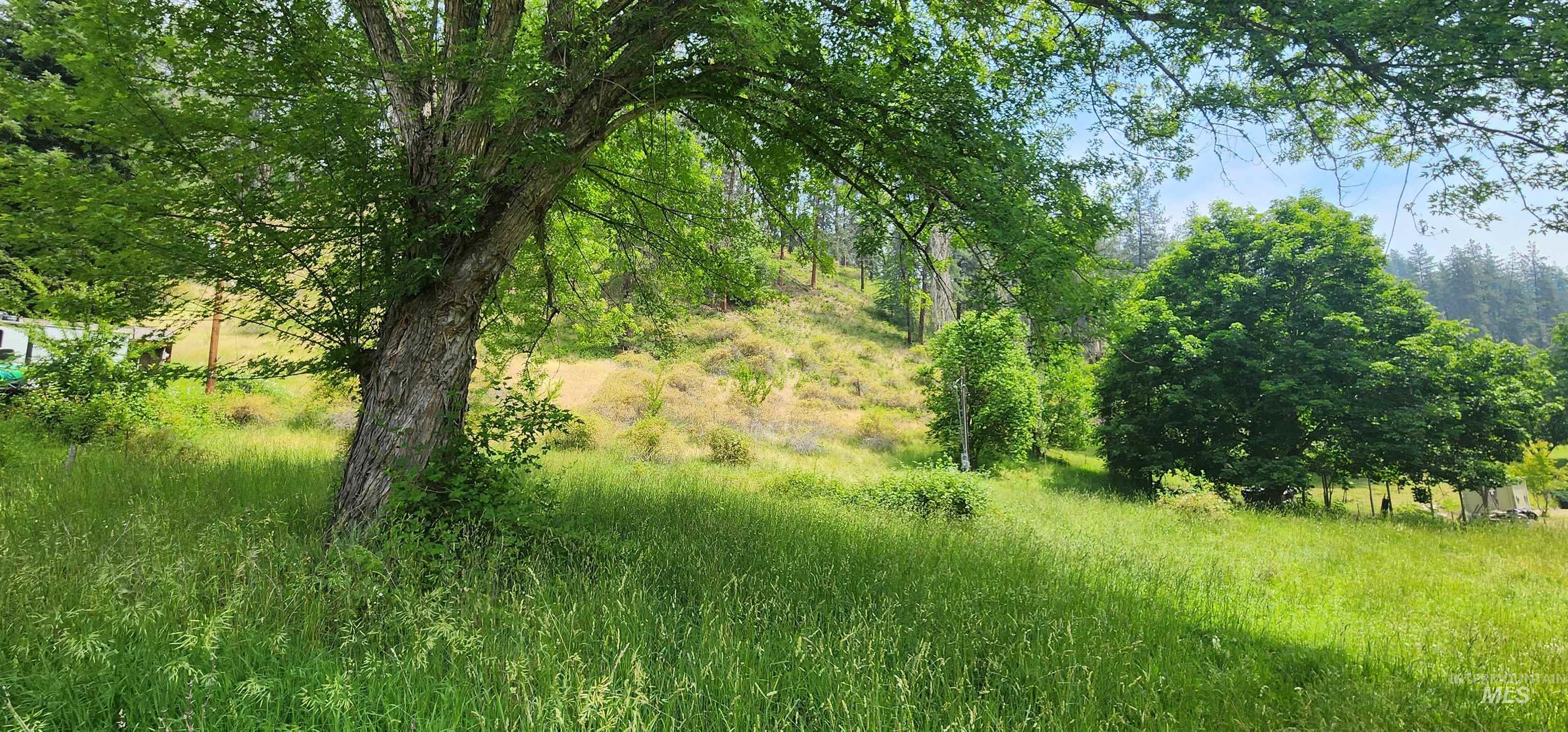 Tbd Hwy 12 Property Photo 3