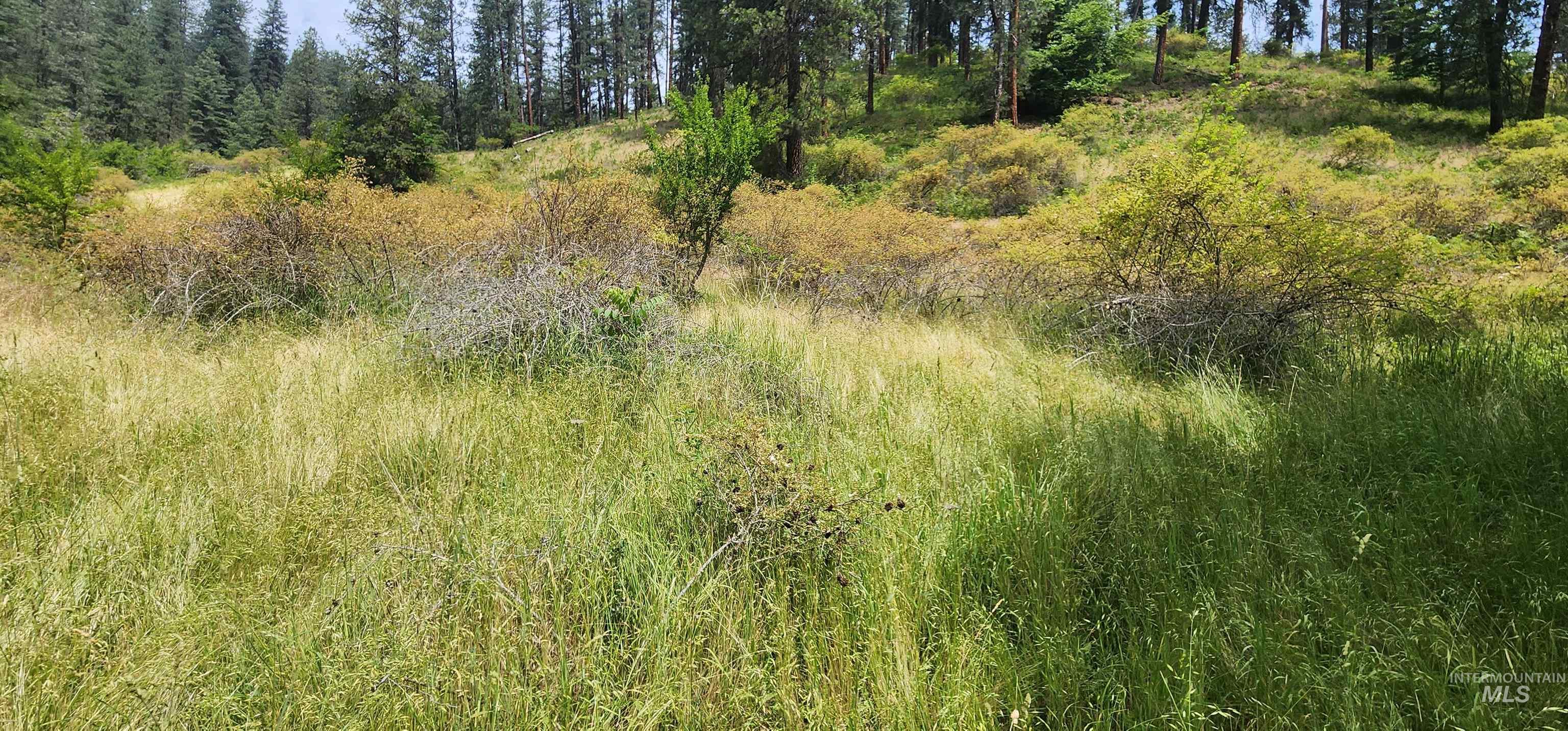 Tbd Hwy 12 Property Photo 6