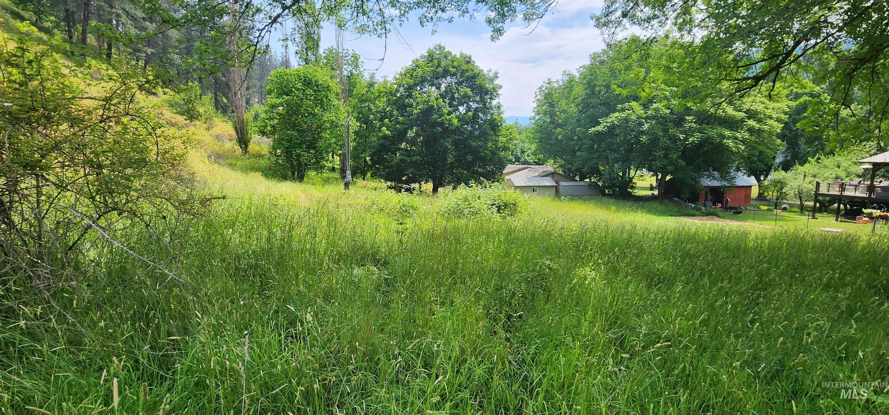 Tbd Hwy 12 Property Photo 9