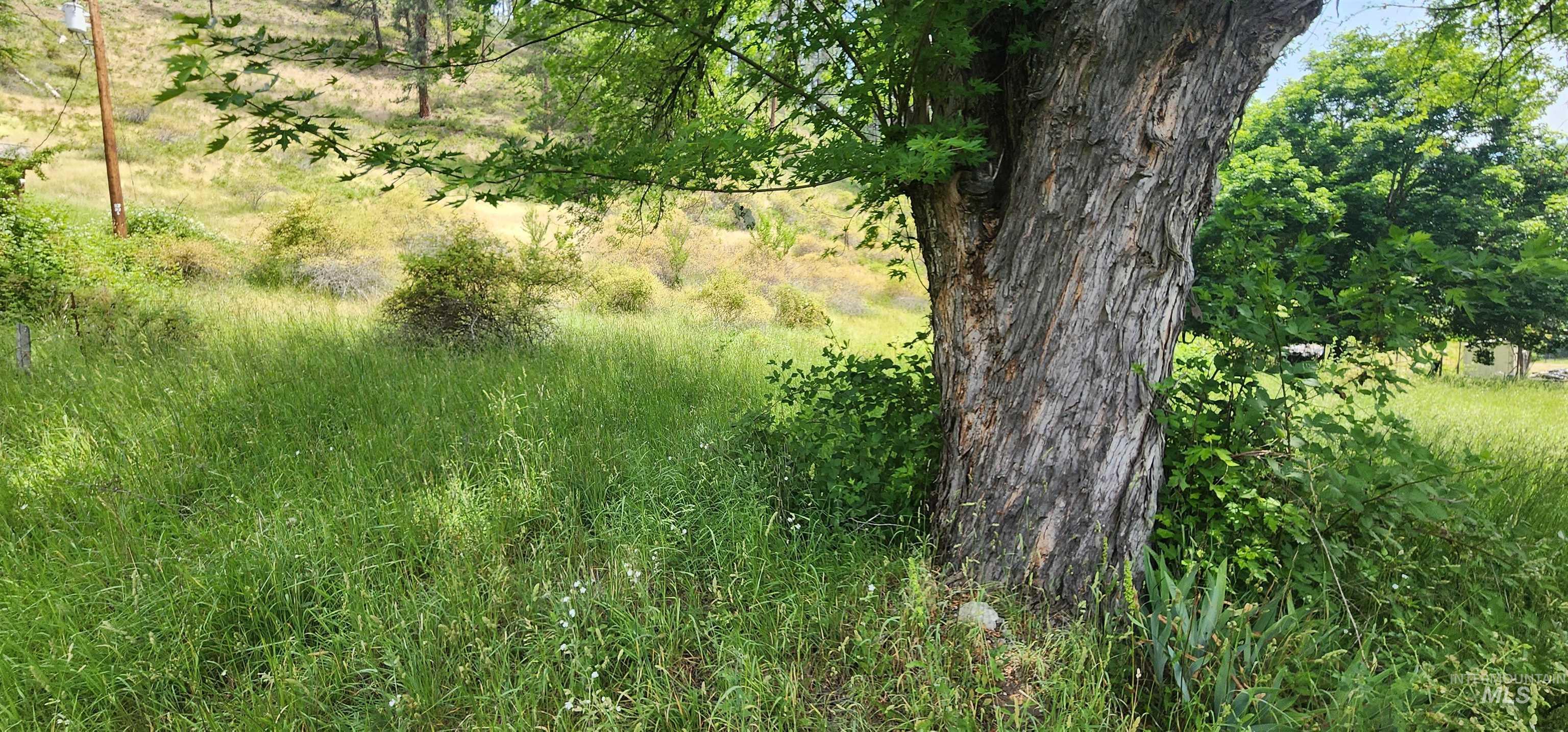 Tbd Hwy 12 Property Photo 10