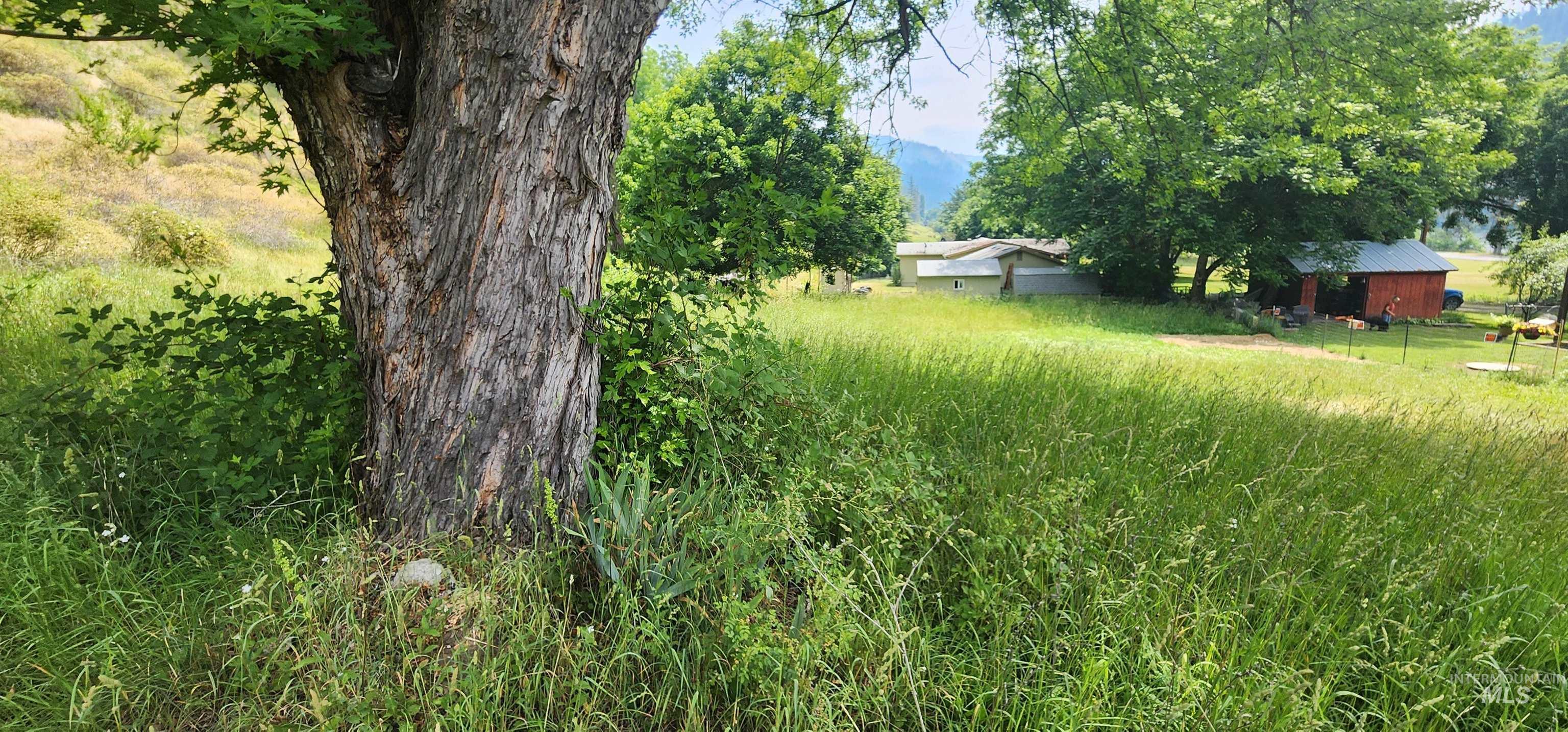 Tbd Hwy 12 Property Photo 11