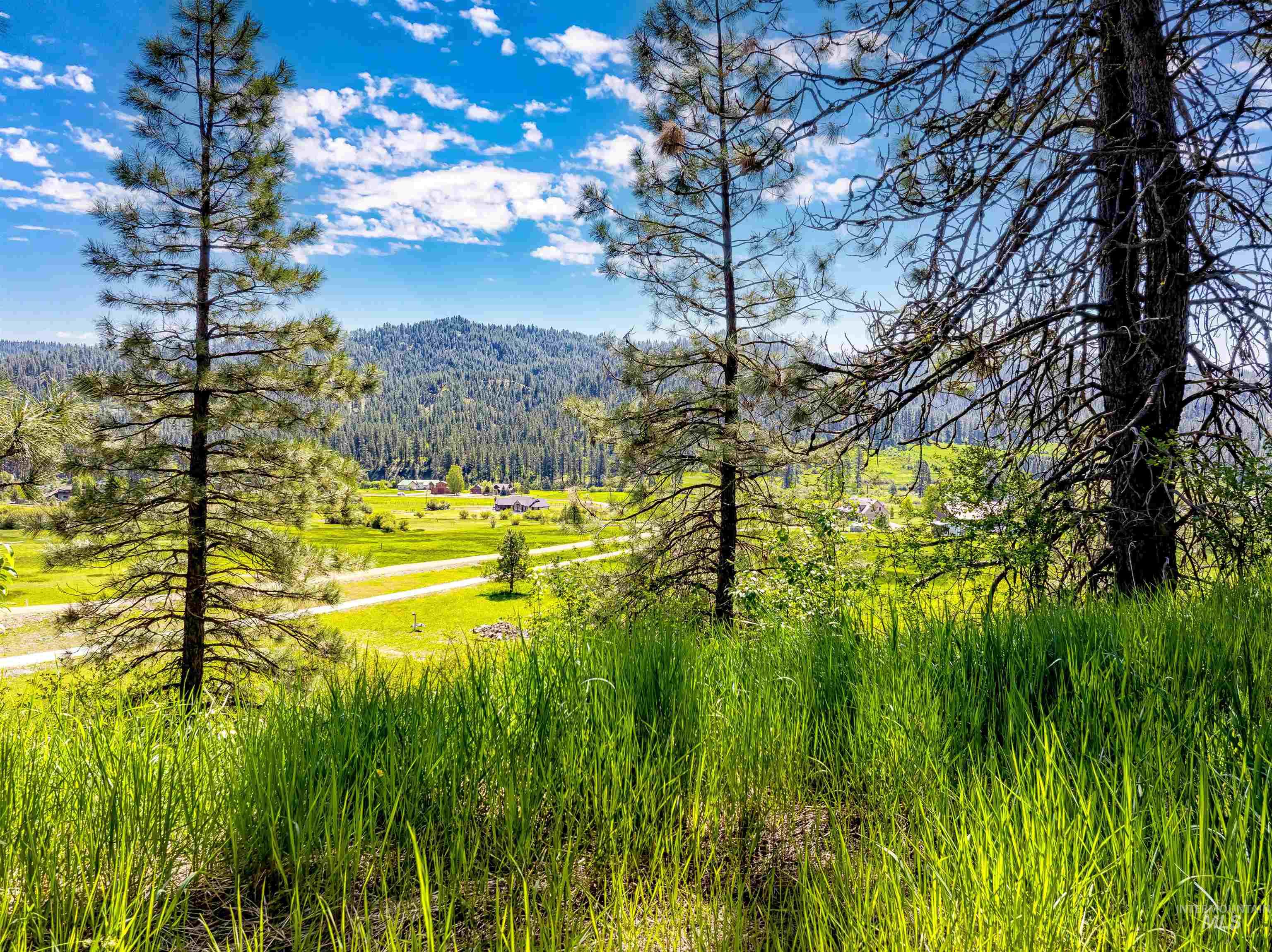Lot 44 Scriver Creek Property Photo 3