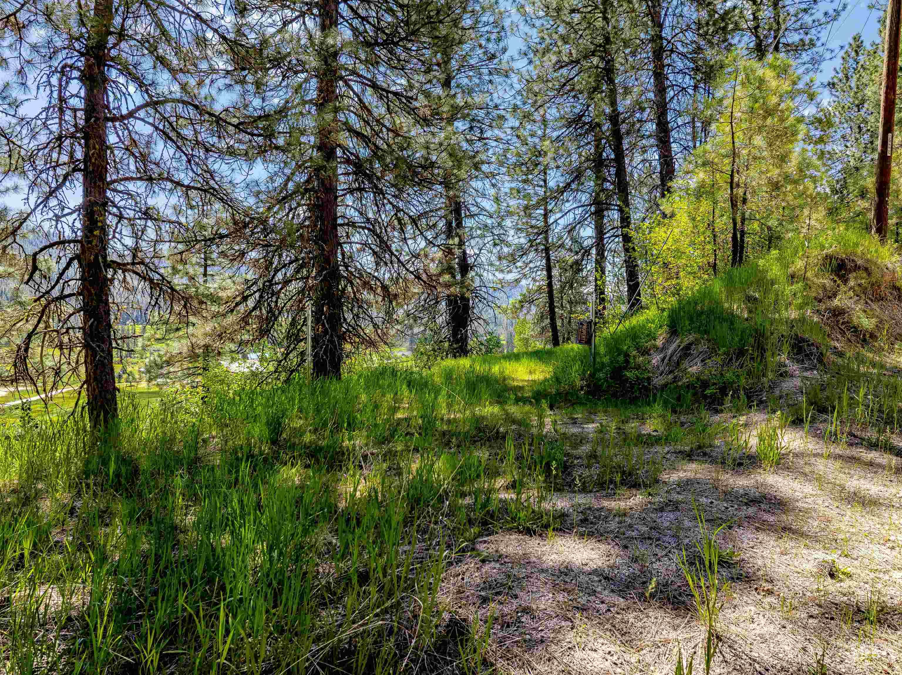 Lot 44 Scriver Creek Property Photo 4