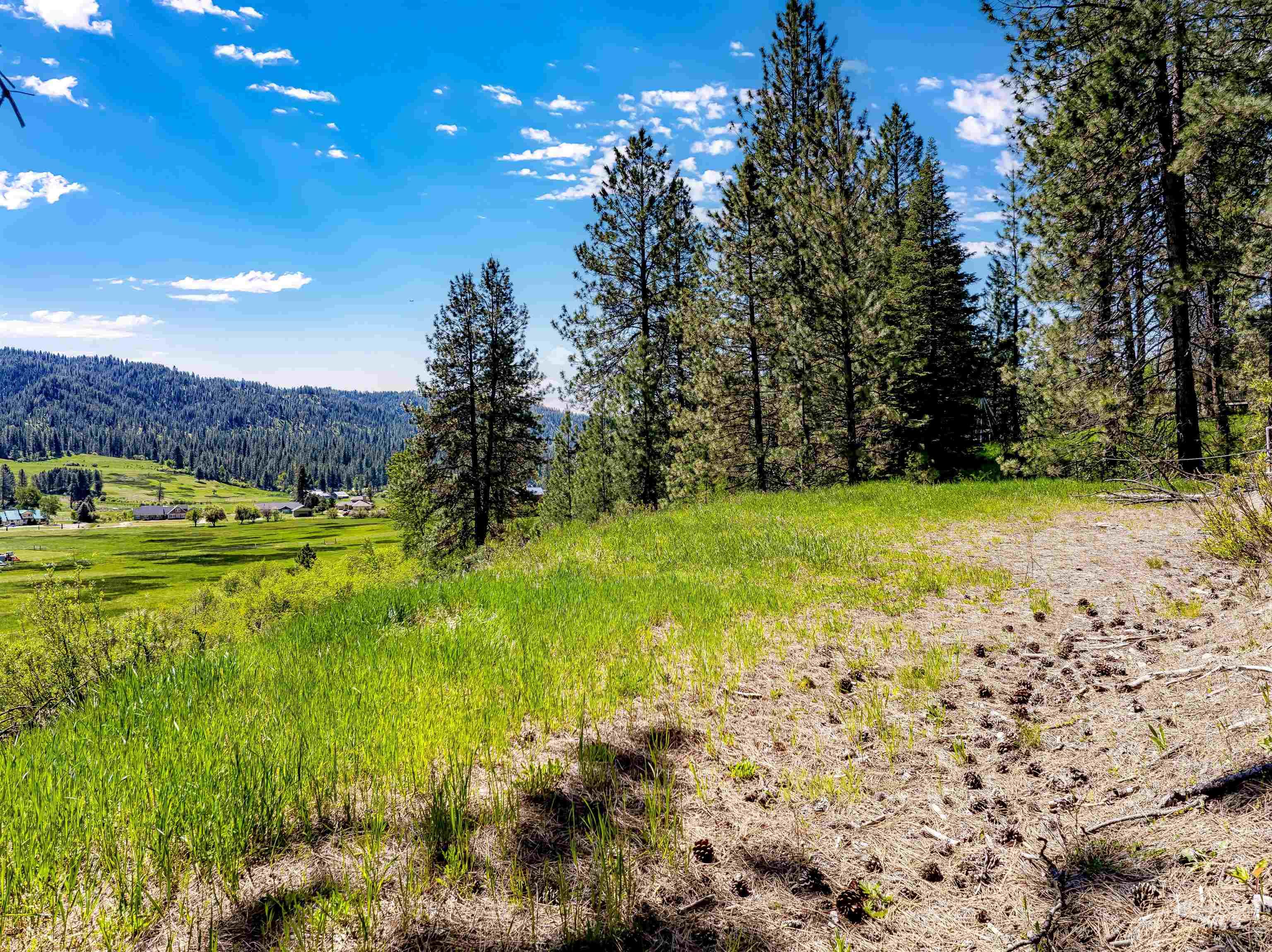 Lot 44 Scriver Creek Property Photo 6