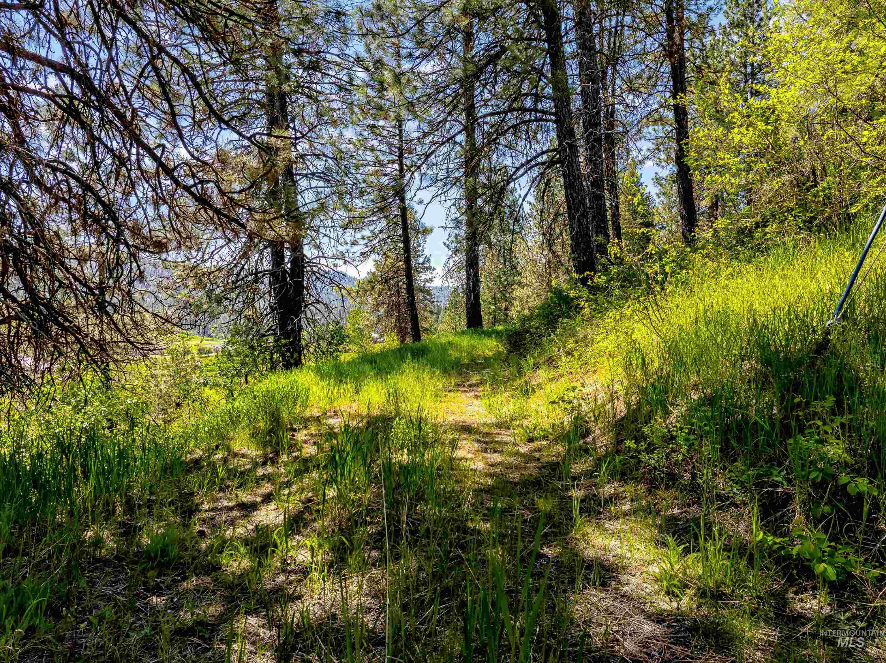 Lot 44 Scriver Creek Property Photo 7