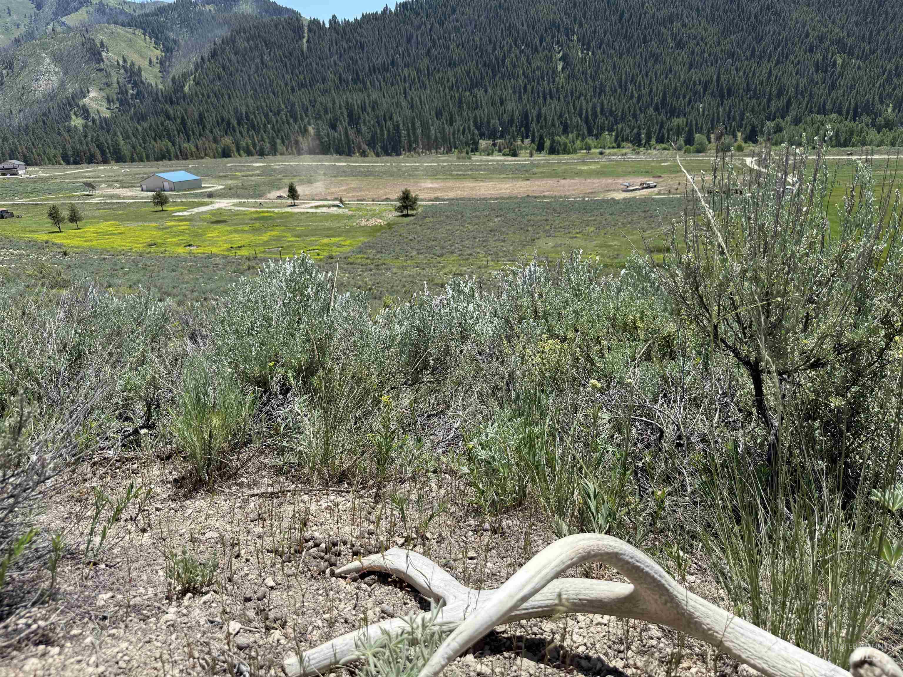 Tbd E Forrest Circle, Mountain Home Property Photo 17