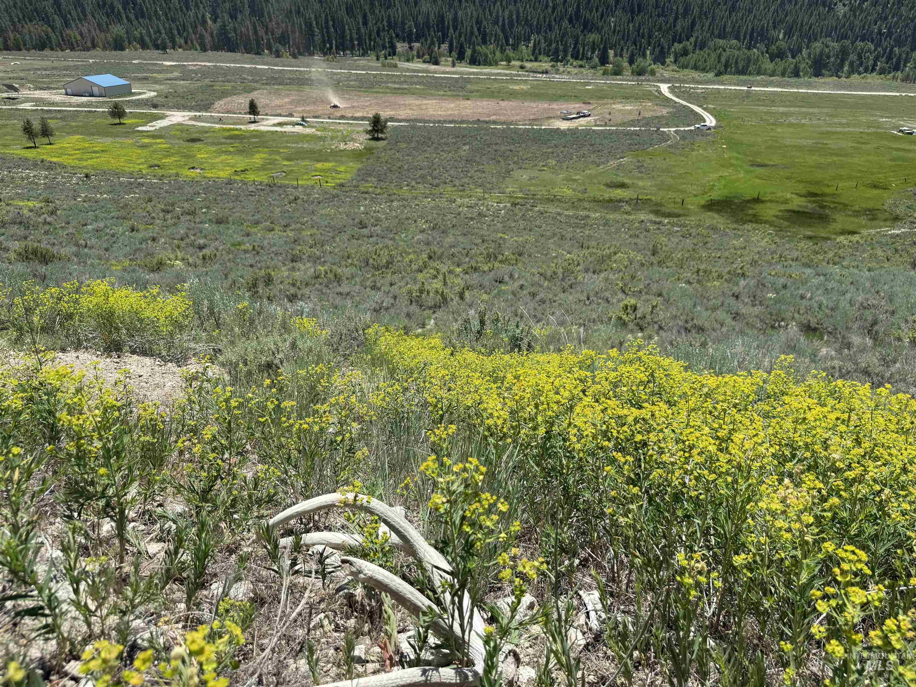 Tbd E Forrest Circle, Mountain Home Property Photo 22