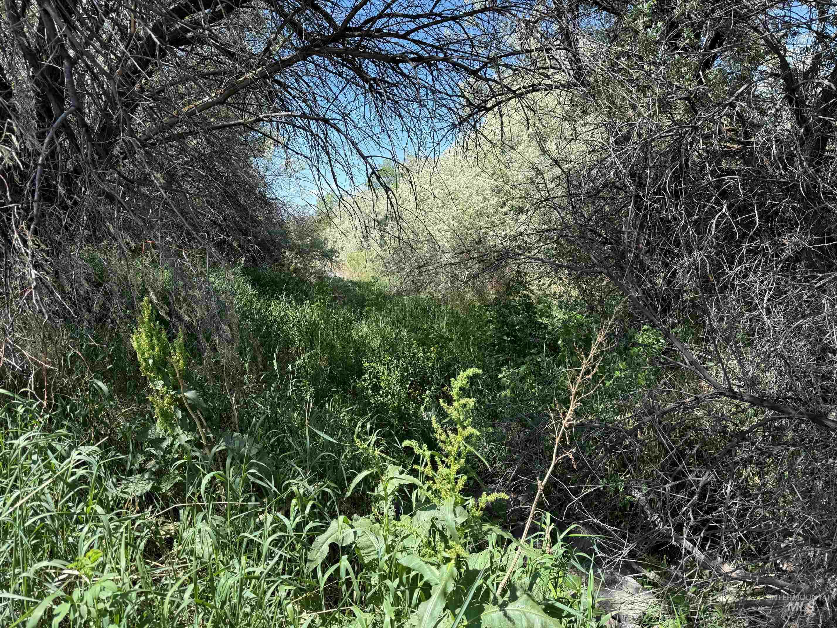 Tbd Parcel A, 1700 S Property Photo 10