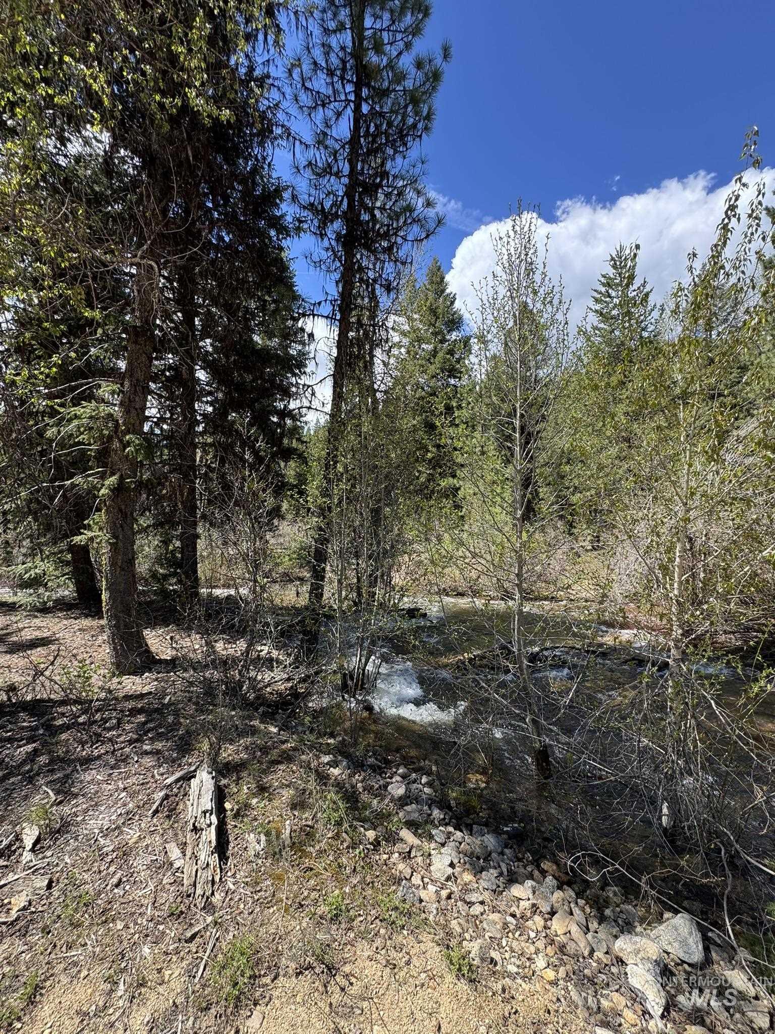 11 Golden Age Mine Rd Property Photo 6