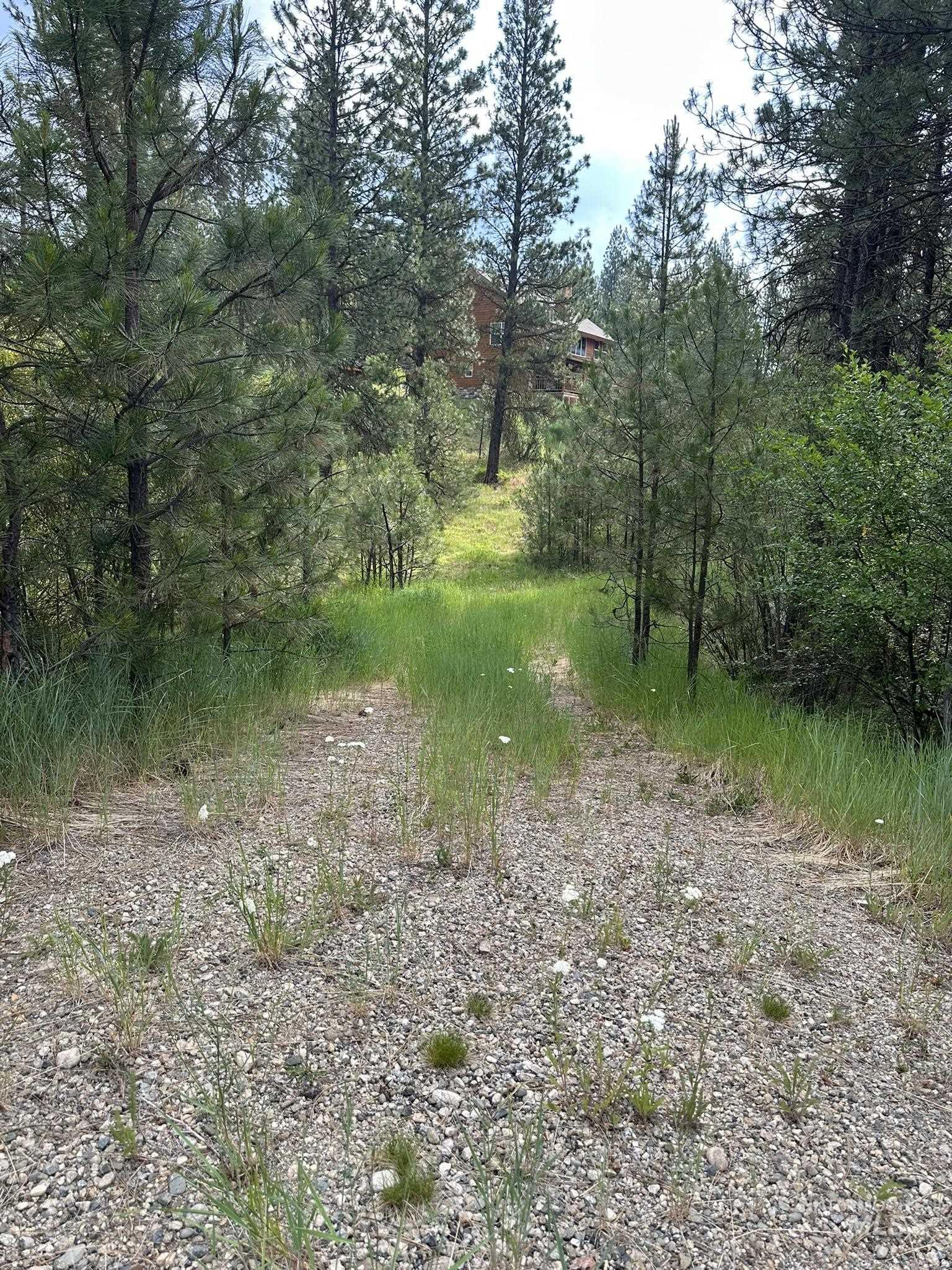 TBD White Pine Property Photo 1