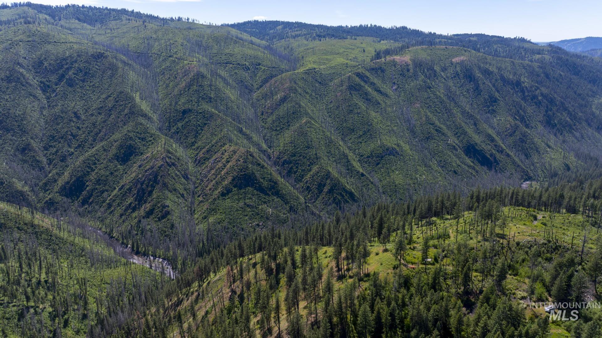 0 Forest Garden Ln, Parcel 4 Property Photo 1