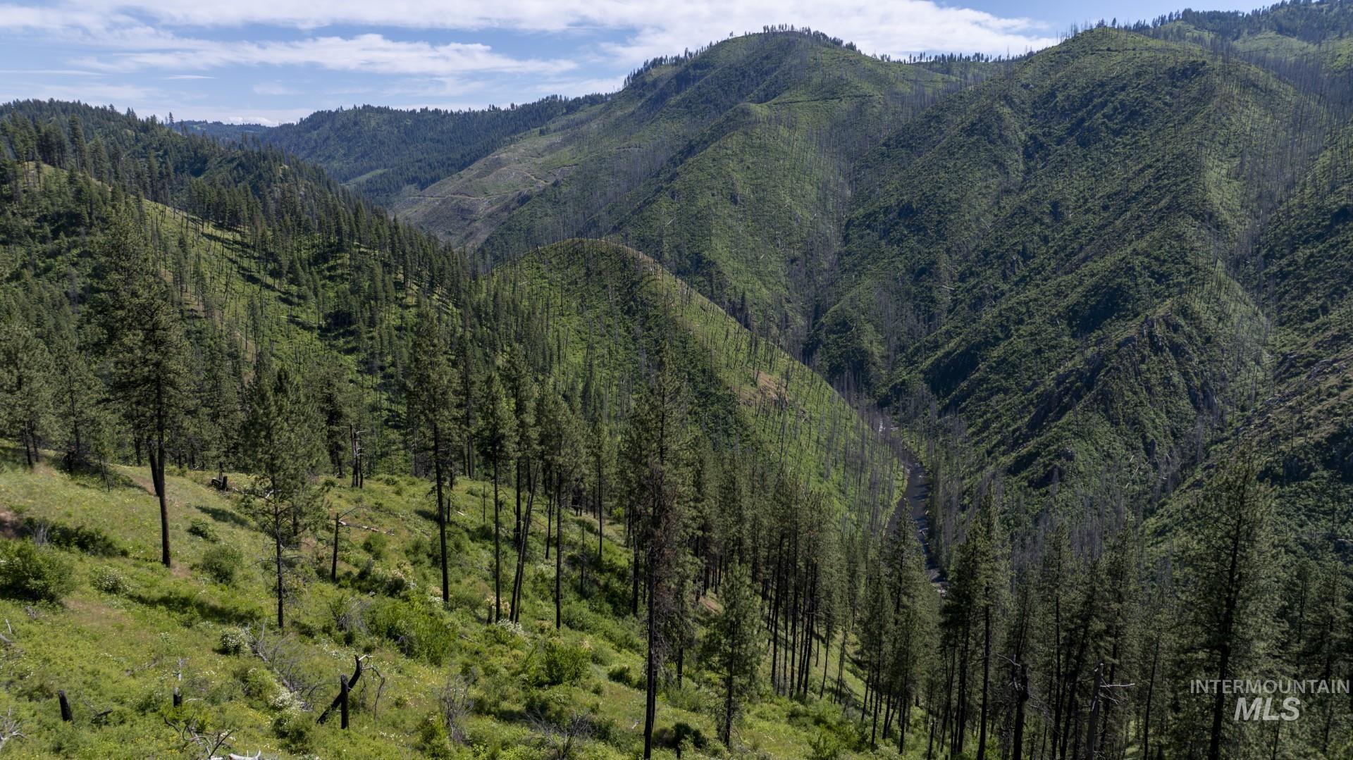 0 Forest Garden Ln, Parcel 7 Property Photo 1