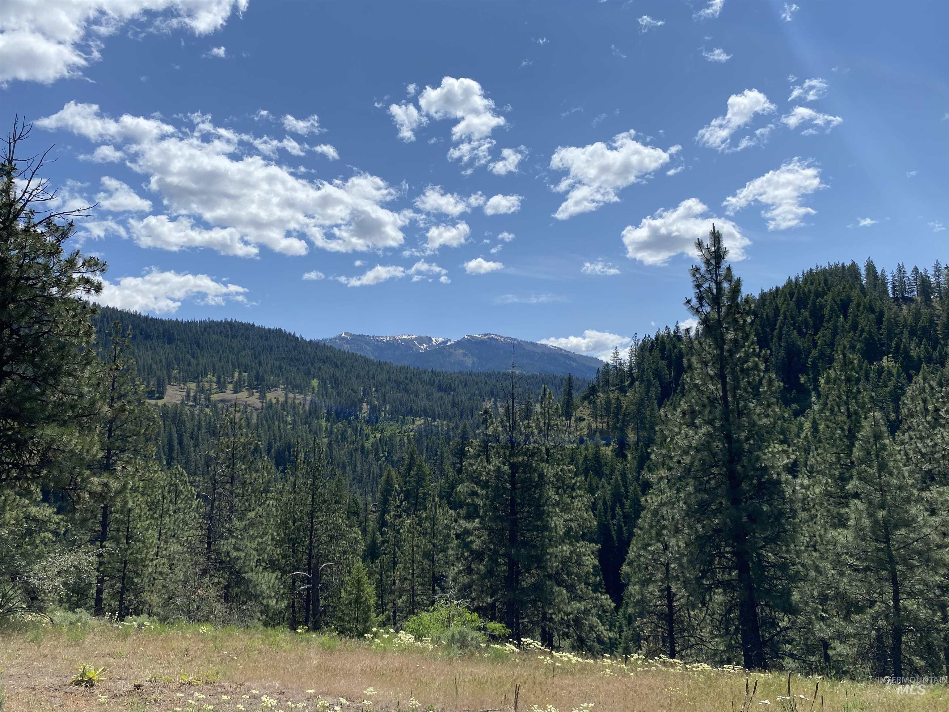 TBD Hillman Basin Road
