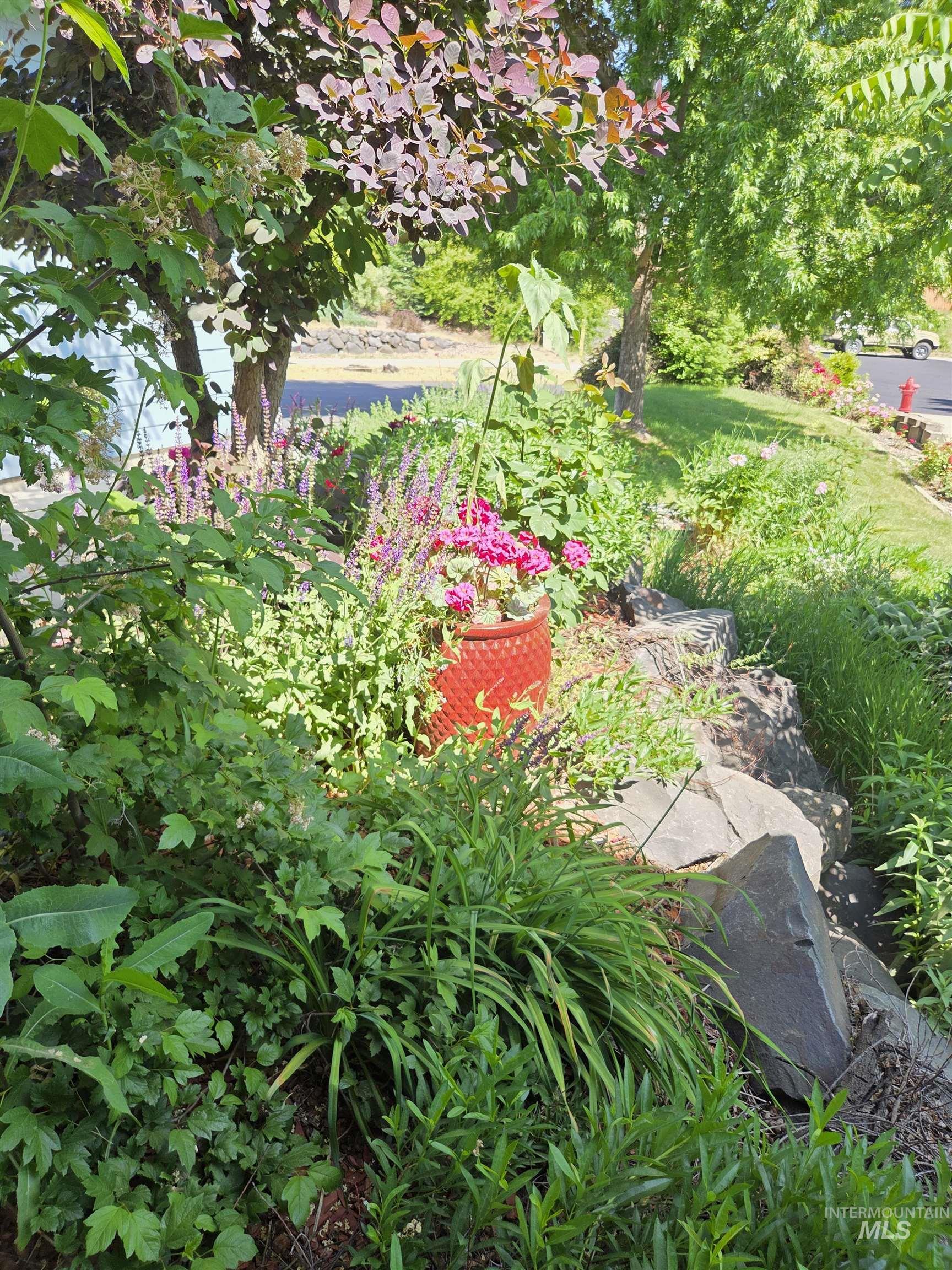 435 Harvest Property Photo 3