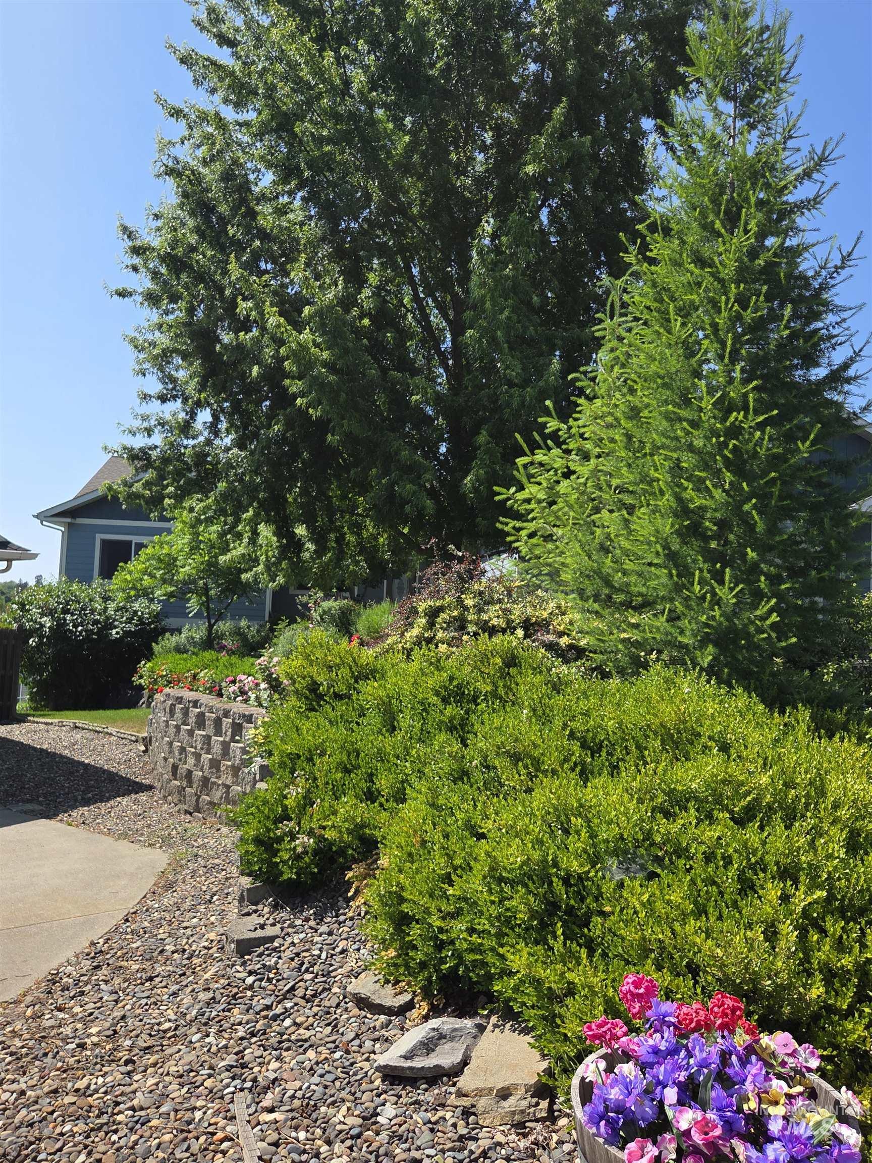 435 Harvest Property Photo 50