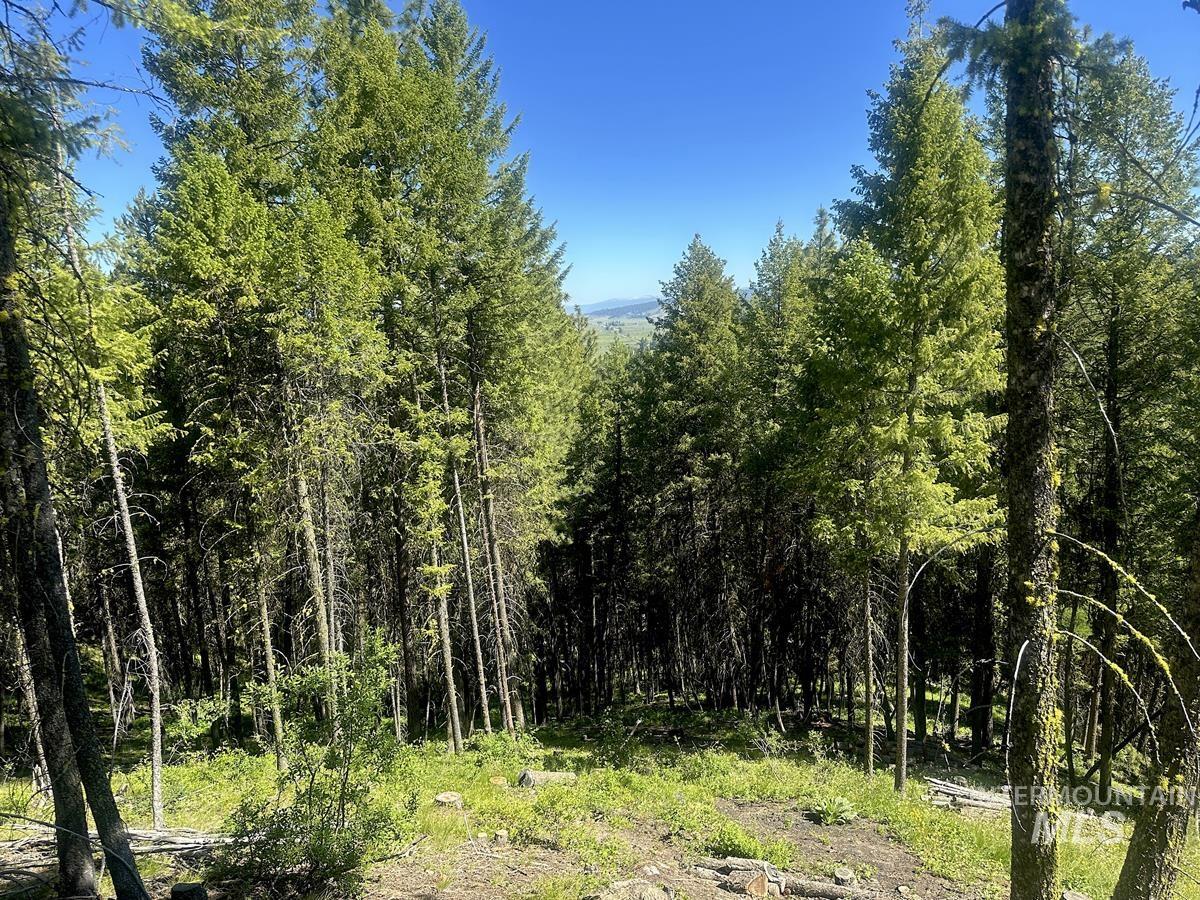 1562 Crown Point Parkway Property Photo 1