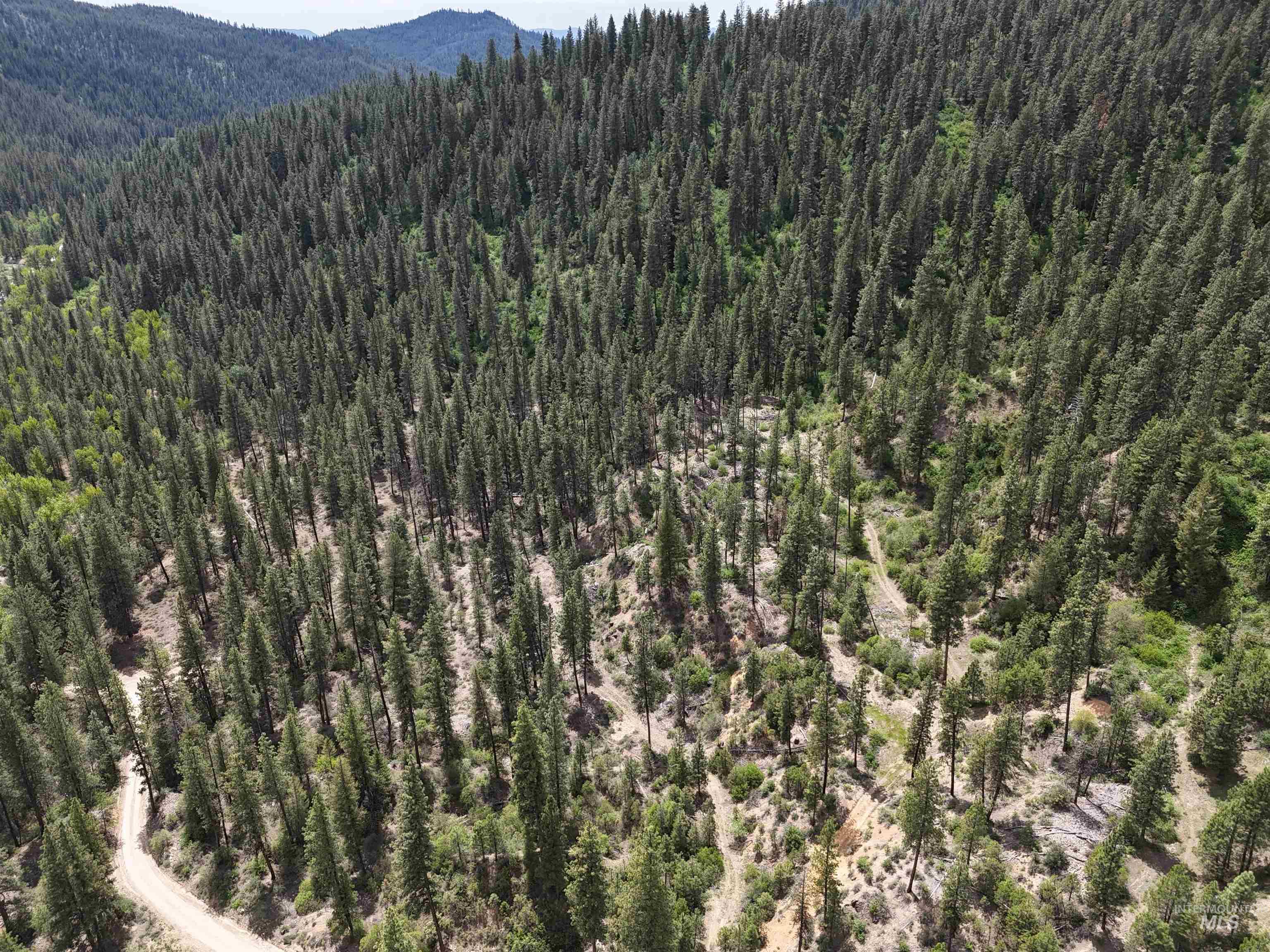 Tbd 39.64 Manning Ln Property Photo 1