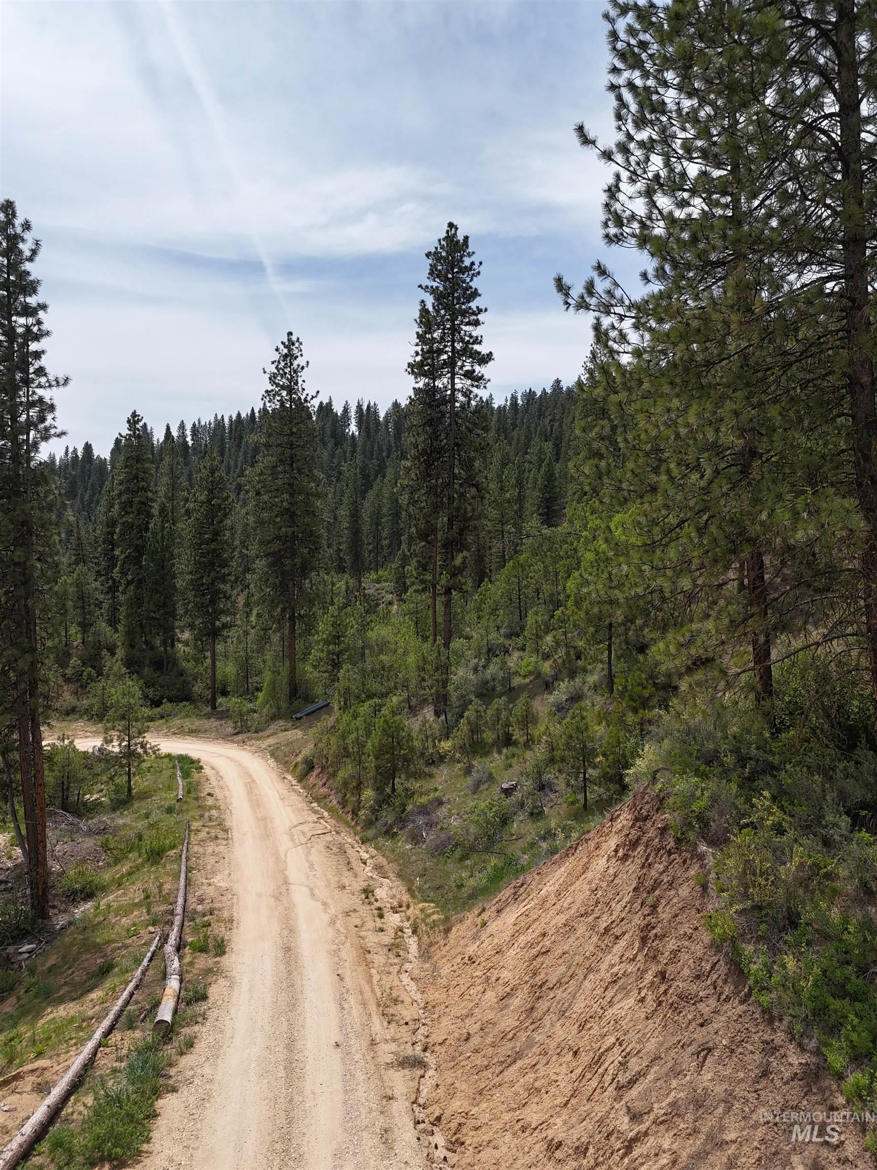 Tbd 39.64 Manning Ln Property Photo 8