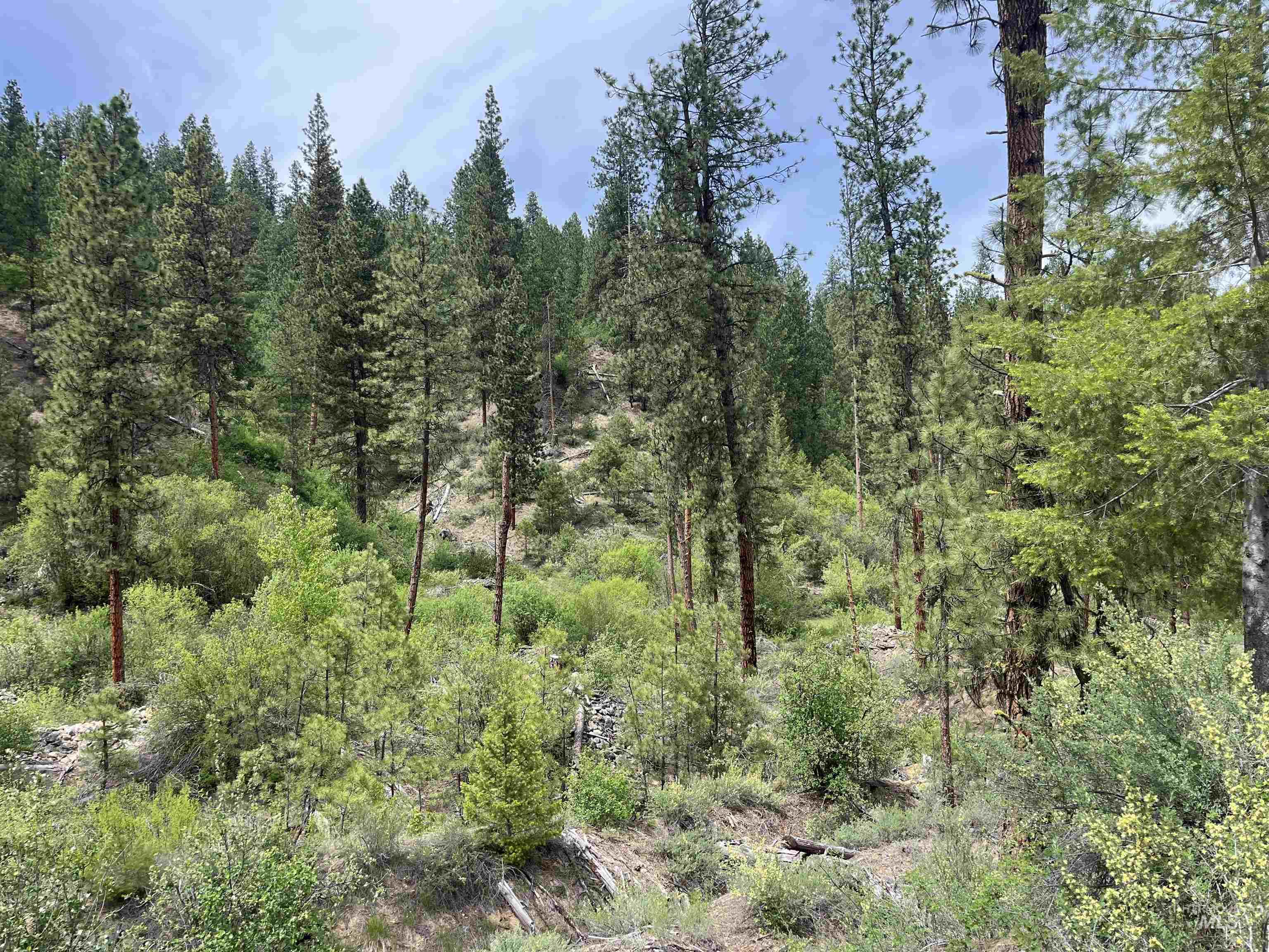 Tbd 39.64 Manning Ln Property Photo 15