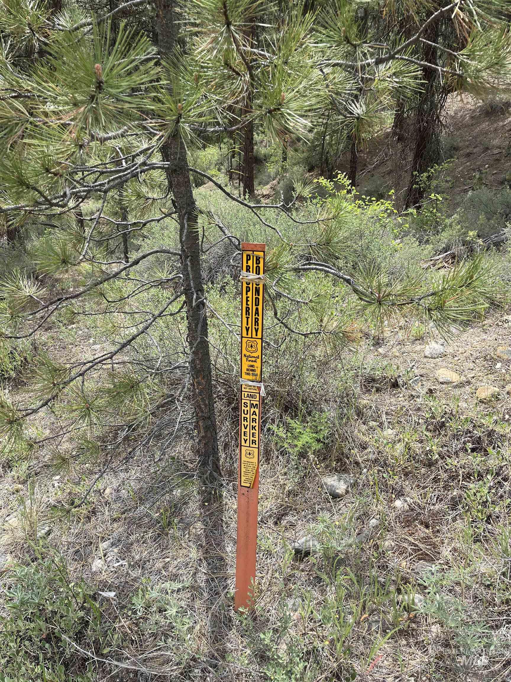 Tbd 39.64 Manning Ln Property Photo 20