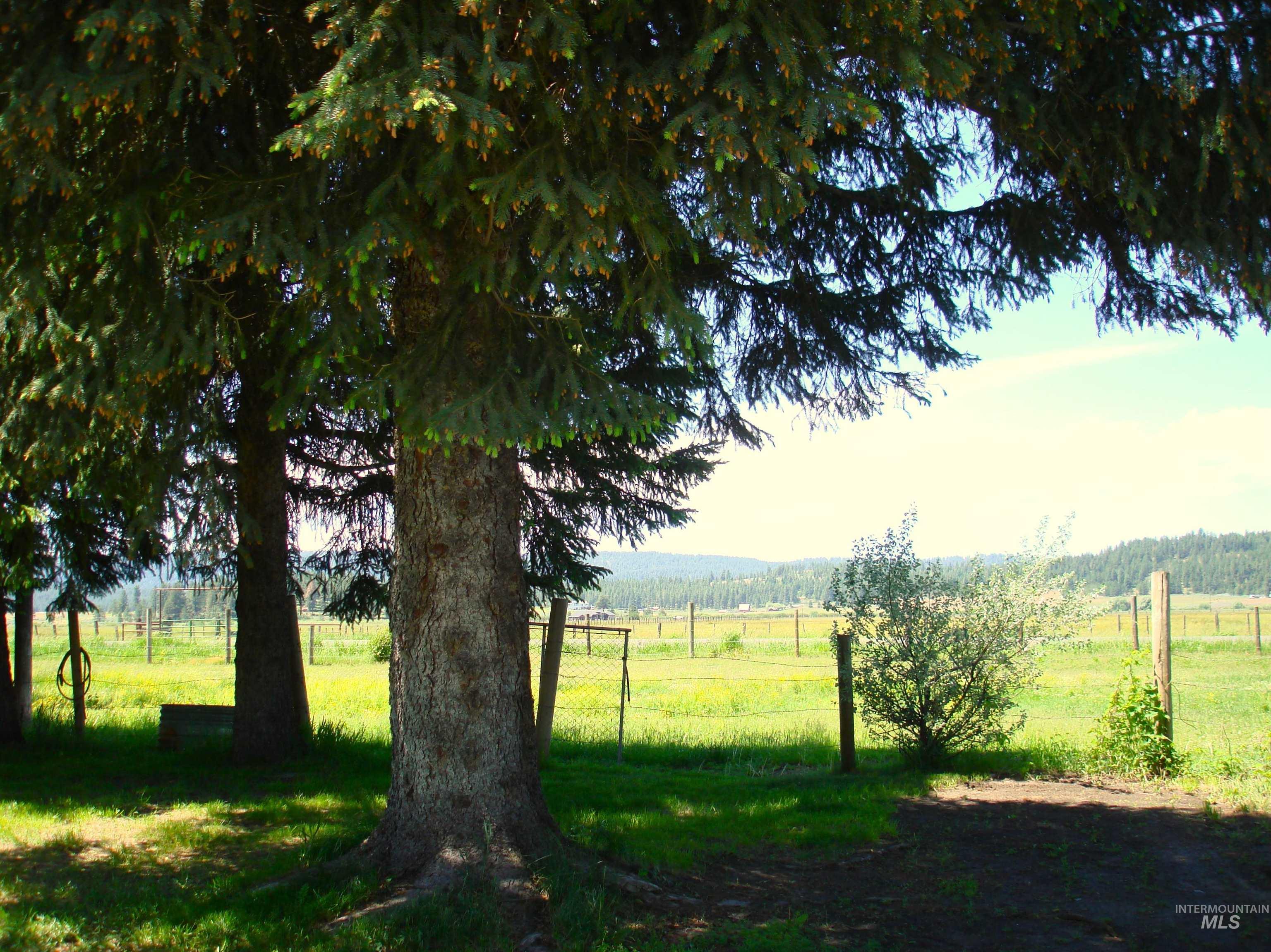 3756 Farrell Road Property Photo 4