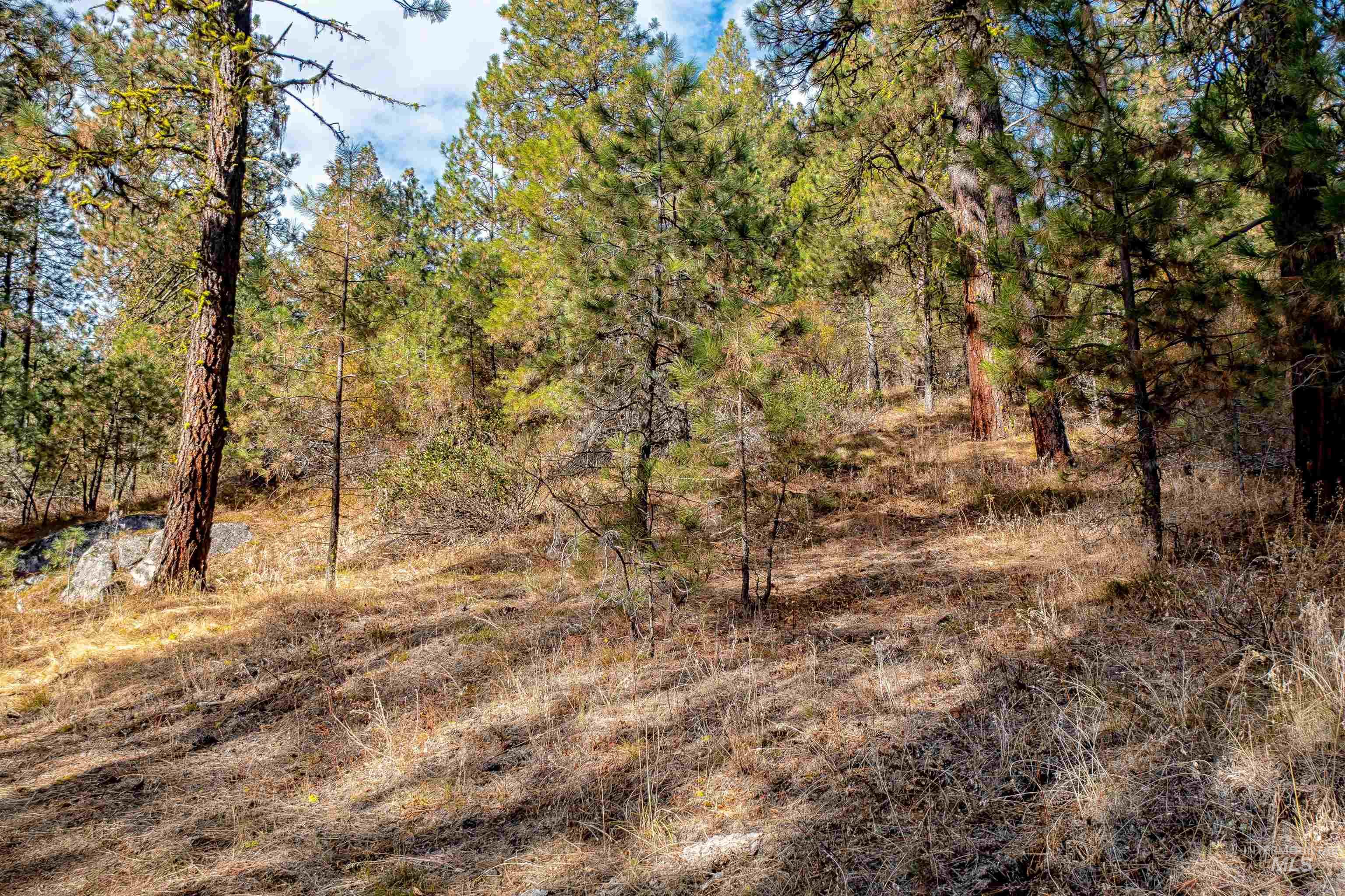 Tbd White Mesa Property Photo 3